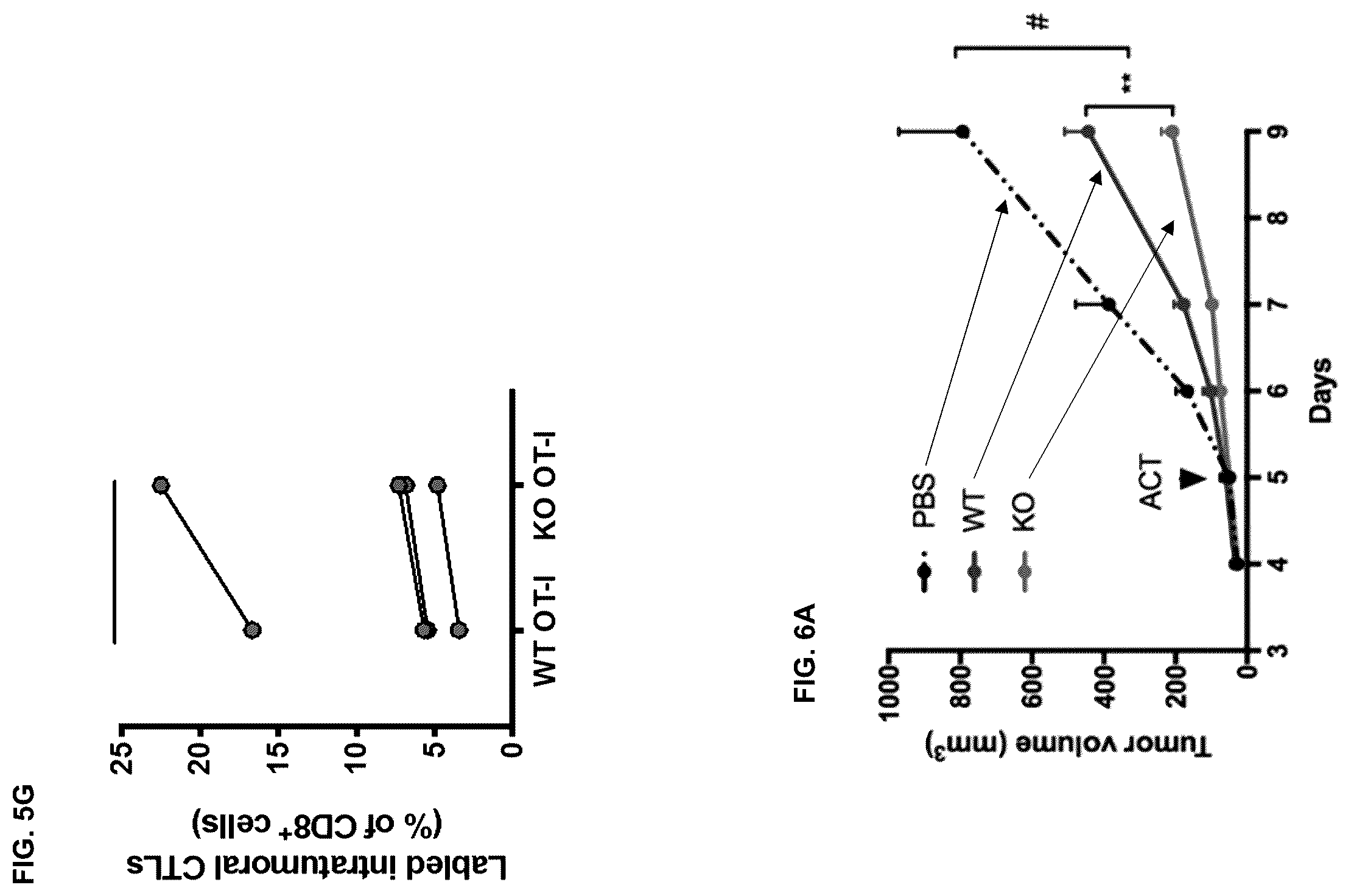 Patent US12472254 Figure 11 – CD8+ T-cells lacking plexins and their application in cancer treatment
