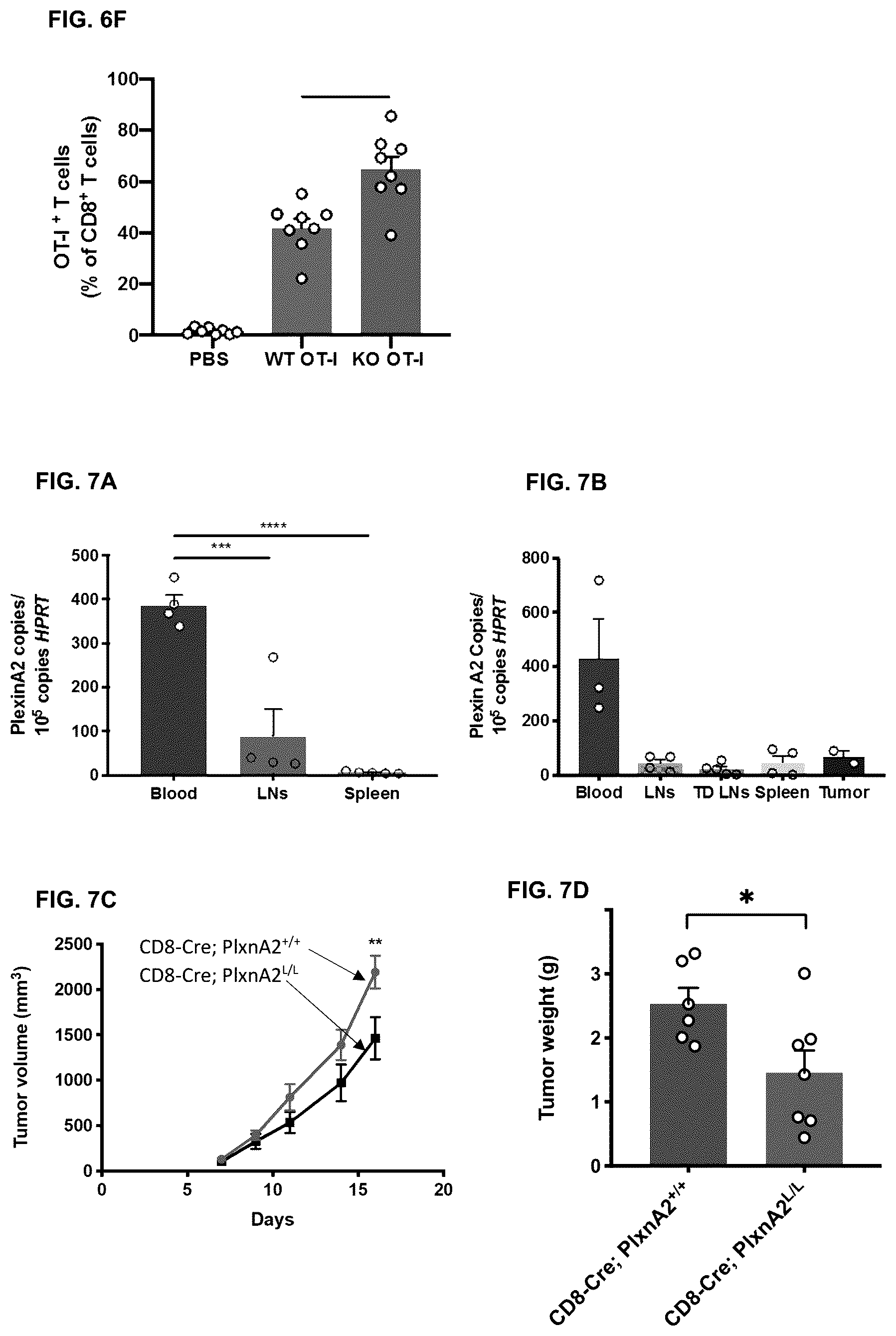 Patent US12472254 Figure 13 – CD8+ T-cells lacking plexins and their application in cancer treatment