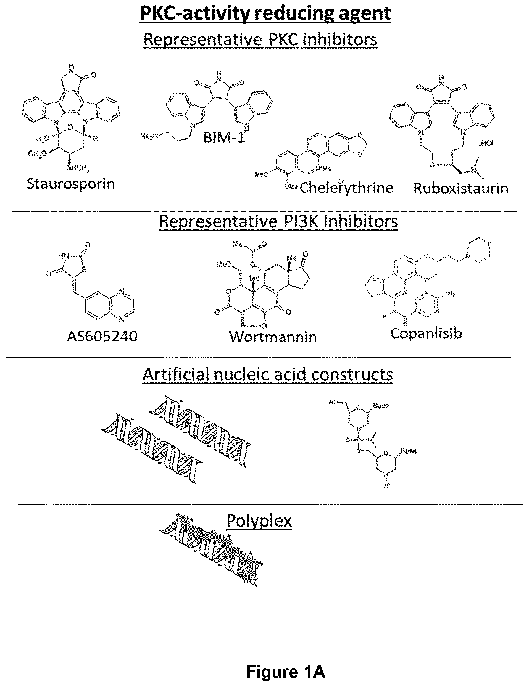 Patent US12472259 — PKC inhibitors for the treatment of septic cholestasis with polymethine dye targeting — Figure 1