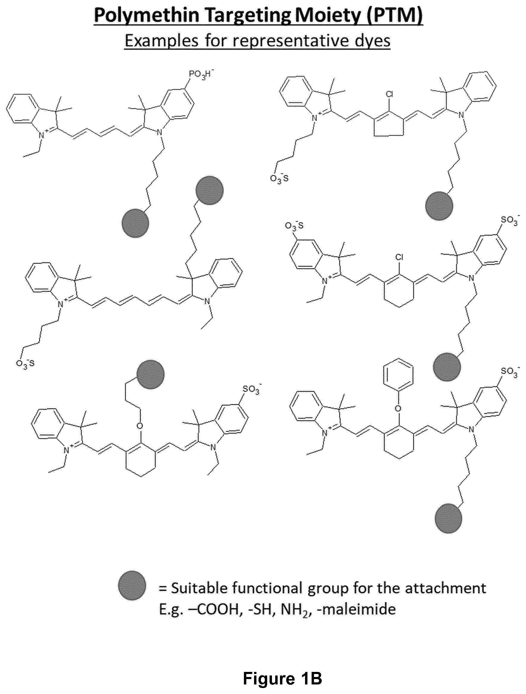 Patent US12472259 Figure 2 – PKC inhibitors for the treatment of septic cholestasis with polymethine dye targeting