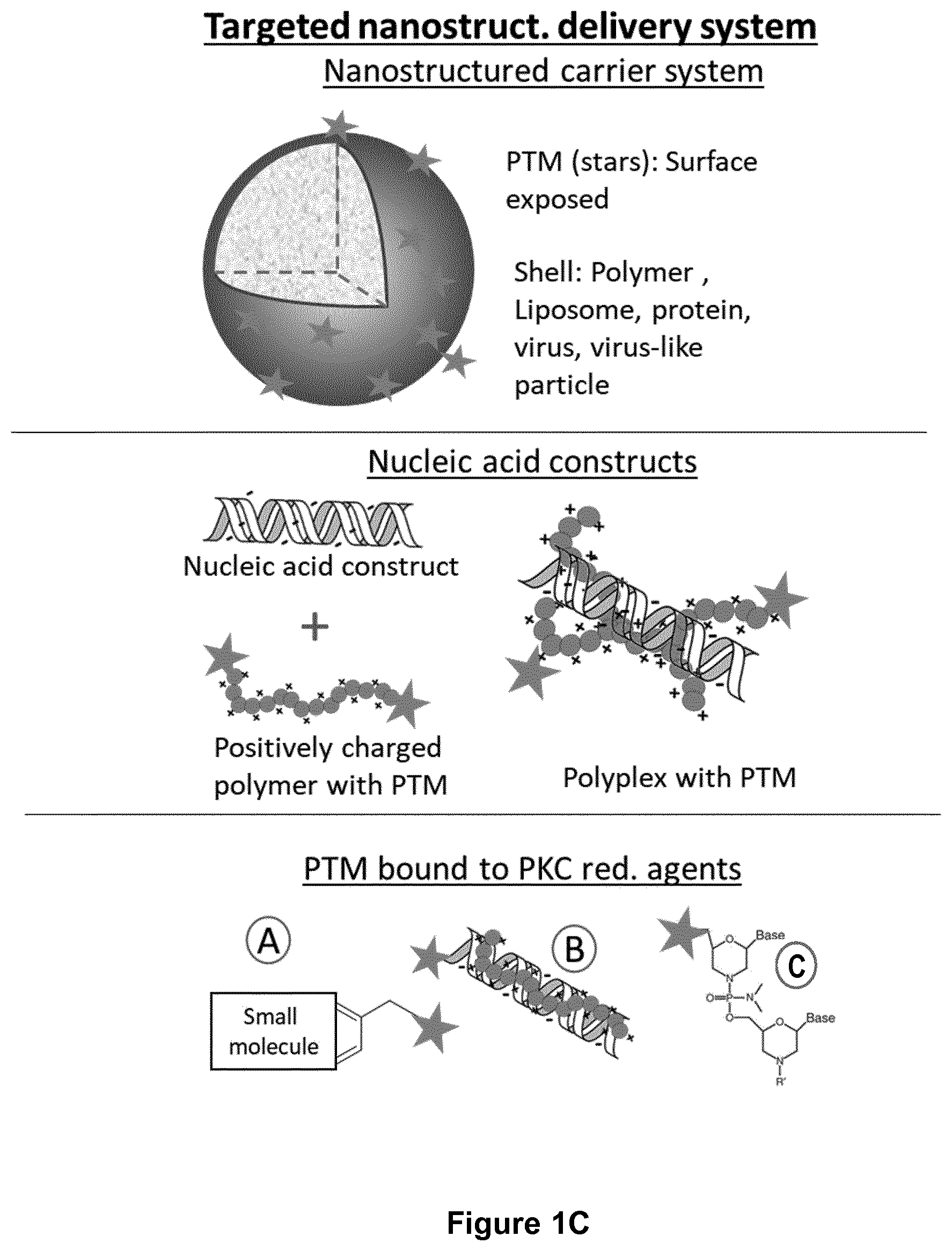 Patent US12472259 Figure 3 – PKC inhibitors for the treatment of septic cholestasis with polymethine dye targeting