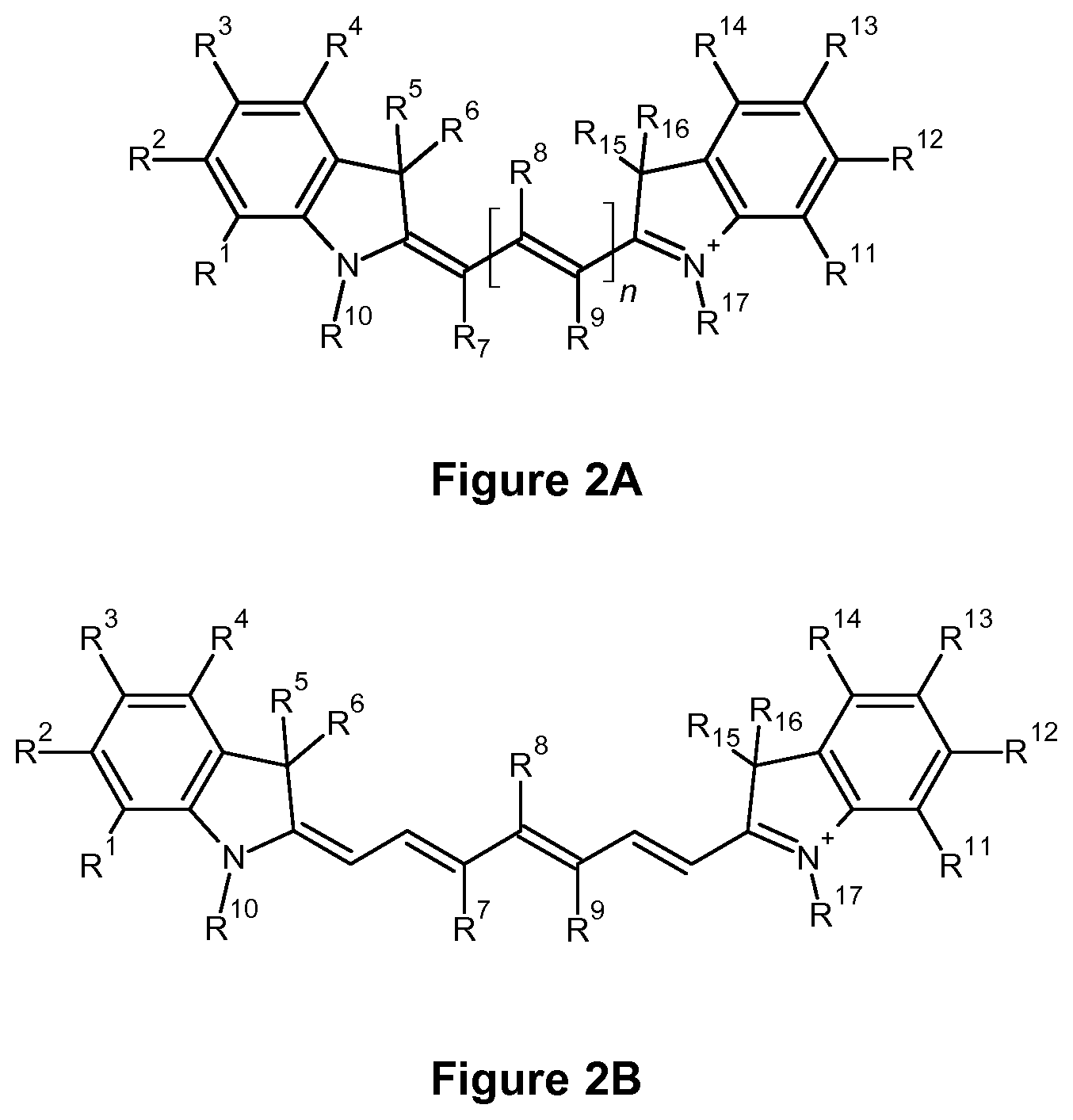 Patent US12472259 Figure 4 – PKC inhibitors for the treatment of septic cholestasis with polymethine dye targeting