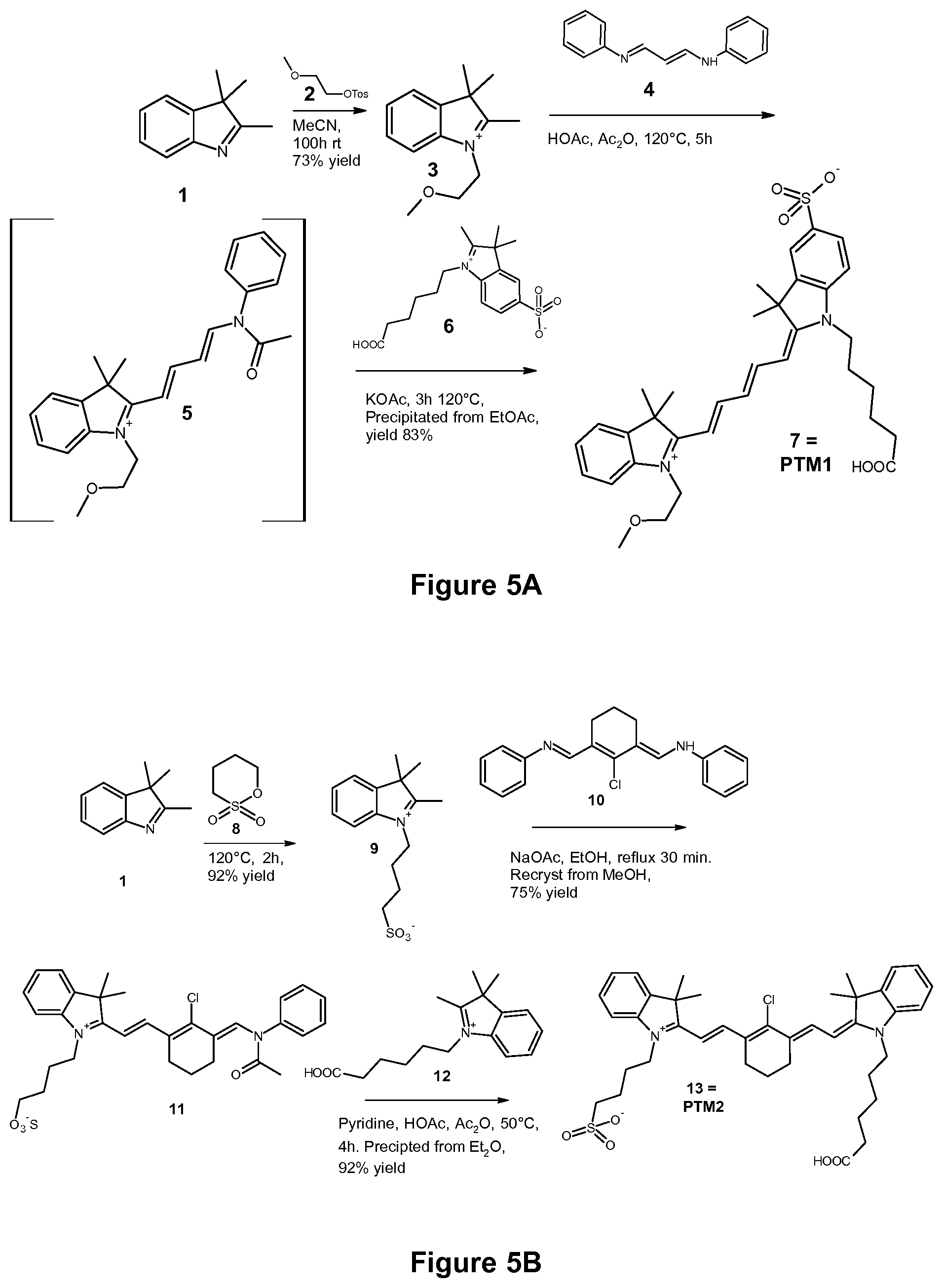 Patent US12472259 Figure 8 – PKC inhibitors for the treatment of septic cholestasis with polymethine dye targeting