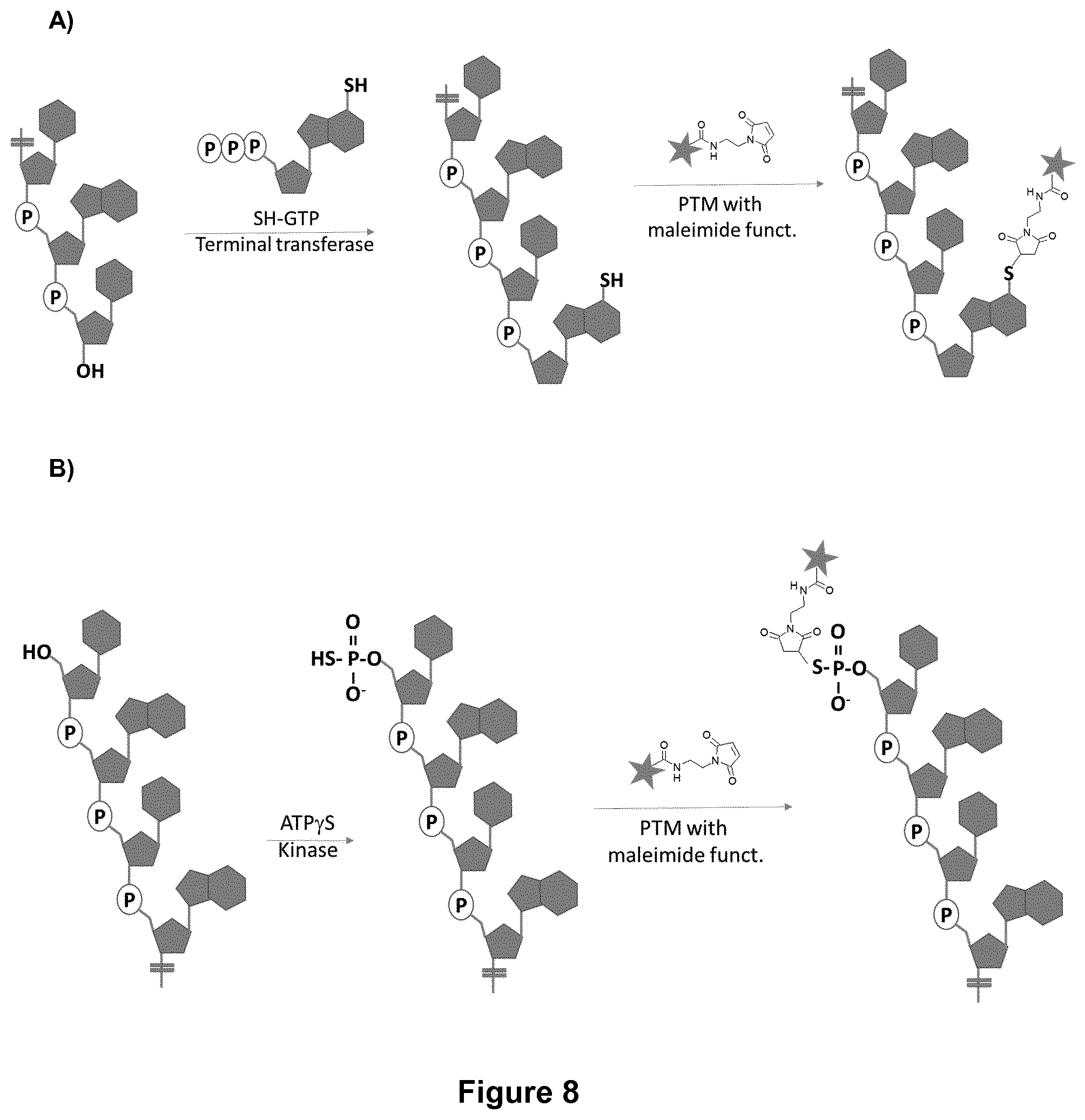 Patent US12472259 Figure 11 – PKC inhibitors for the treatment of septic cholestasis with polymethine dye targeting