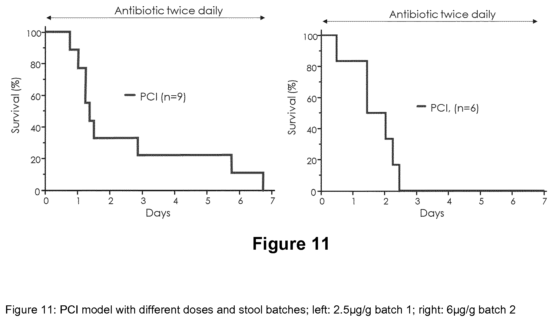Patent US12472259 Figure 14 – PKC inhibitors for the treatment of septic cholestasis with polymethine dye targeting