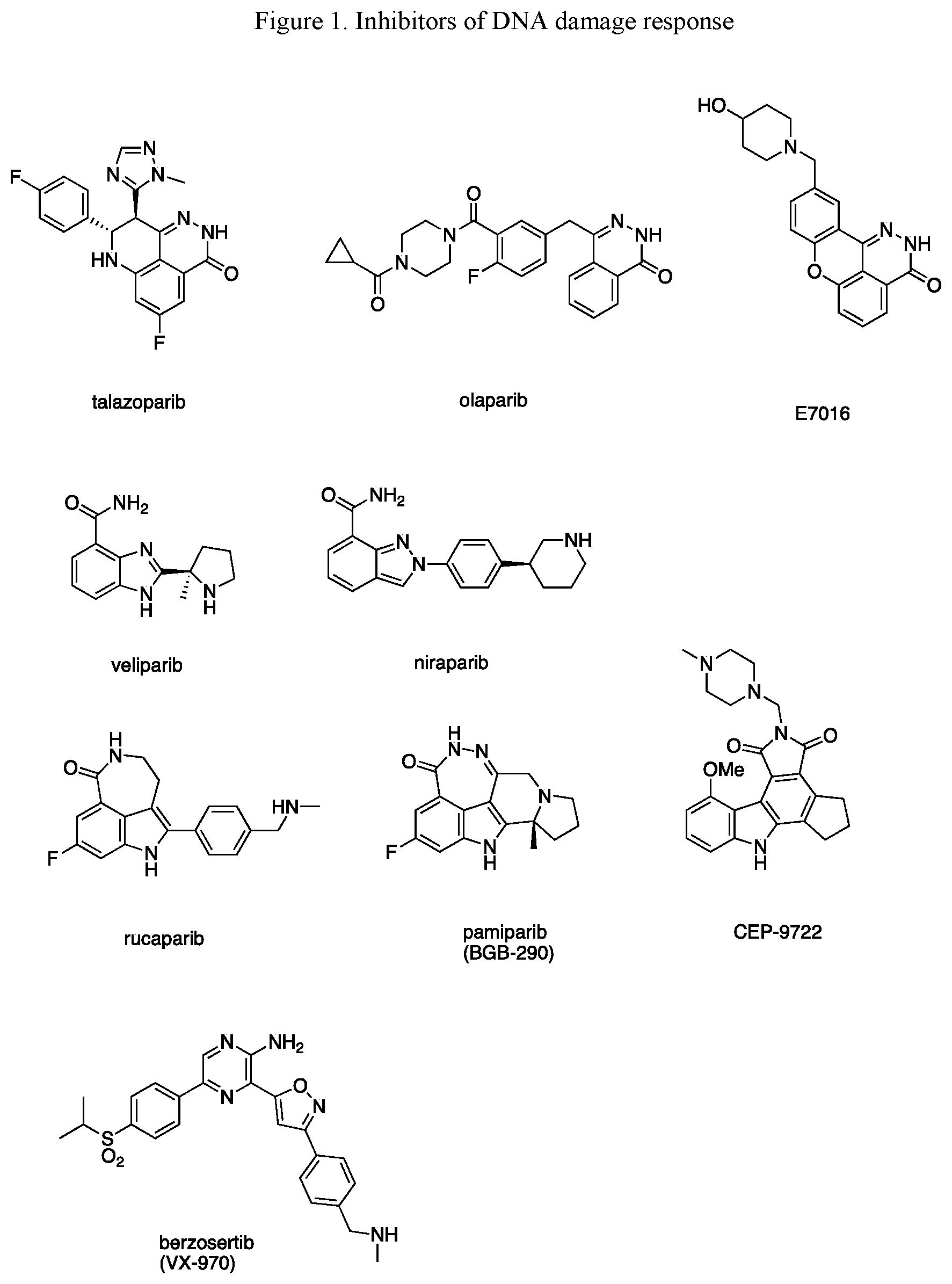 Patent US12472261 Figure 1 – Conjugated inhibitors of DNA damage response