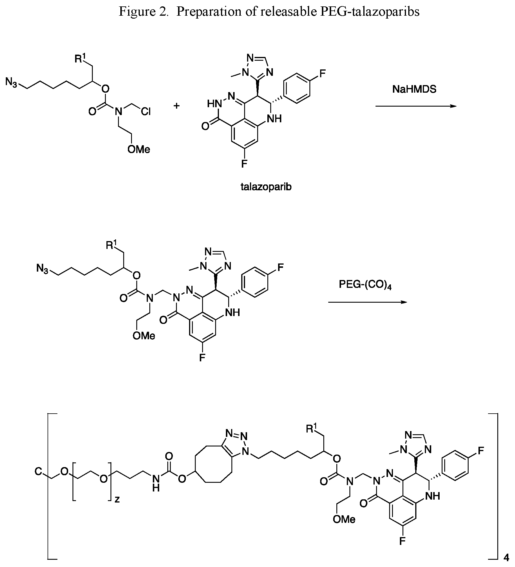Patent US12472261 Figure 2 – Conjugated inhibitors of DNA damage response