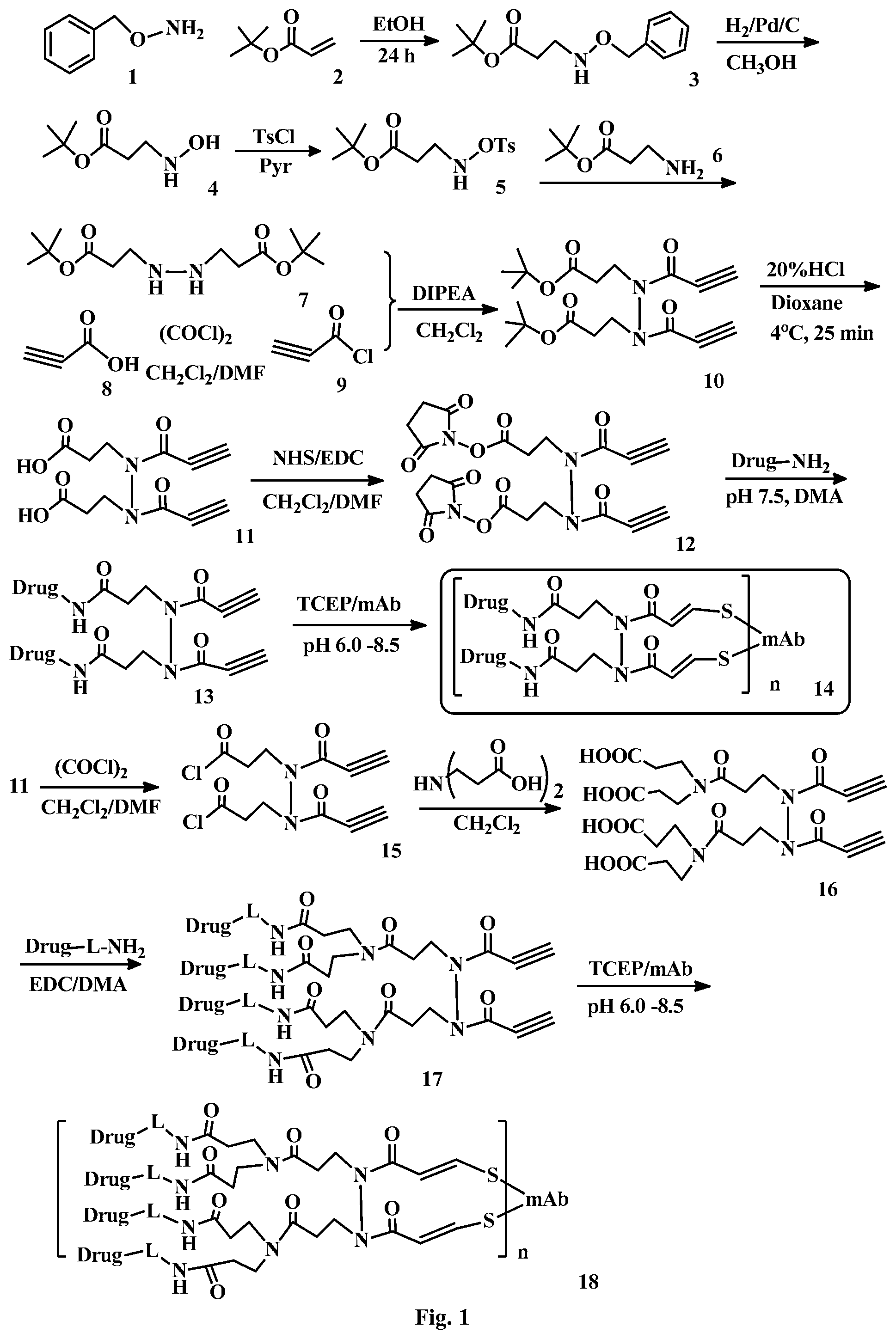 Patent US12472265 Figure 1 – Conjugation linkers, cell binding molecule-drug conjugates containing the linkers, methods of making and uses such conjugates with the linkers