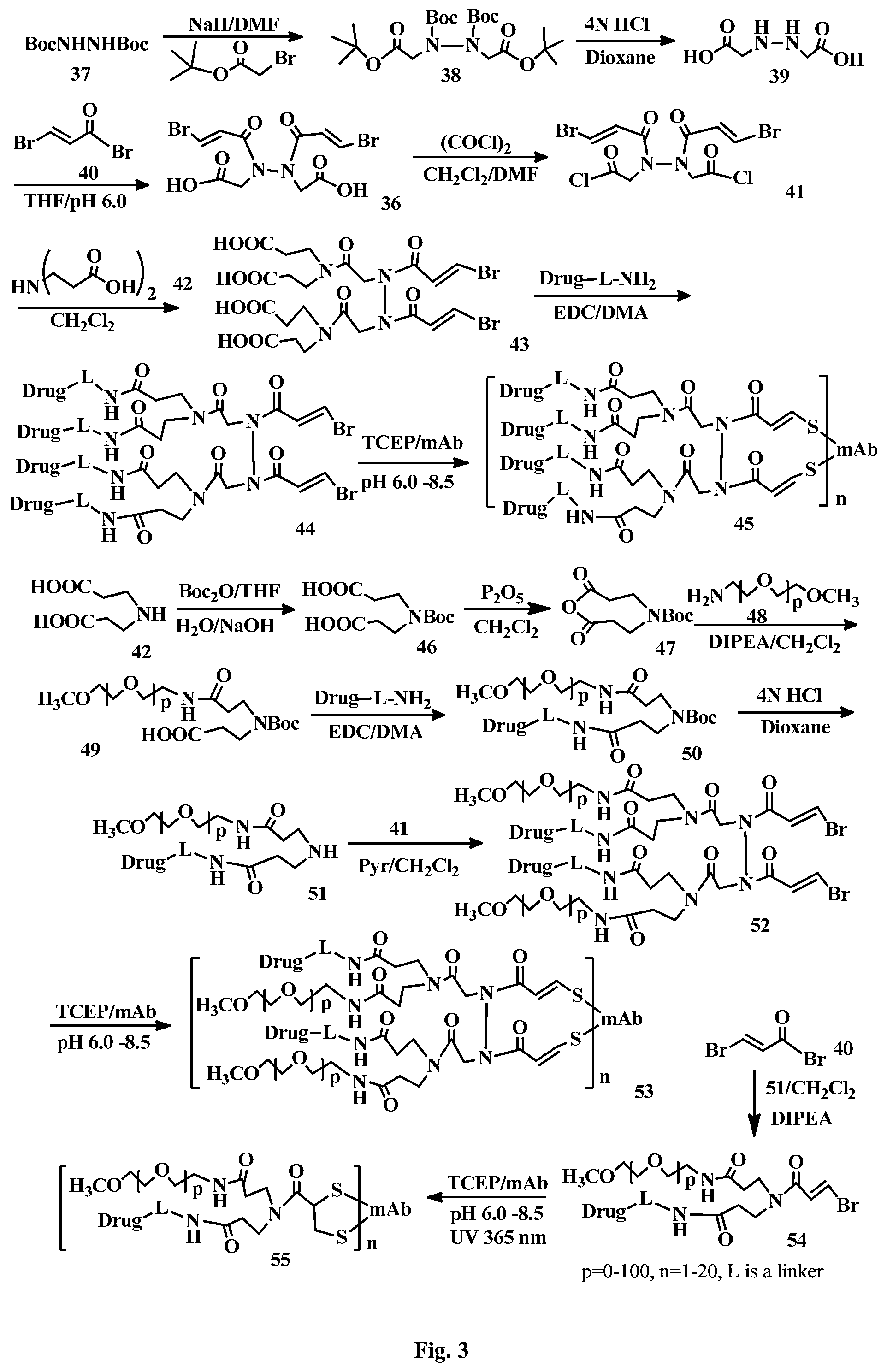 Patent US12472265 Figure 3 – Conjugation linkers, cell binding molecule-drug conjugates containing the linkers, methods of making and uses such conjugates with the linkers