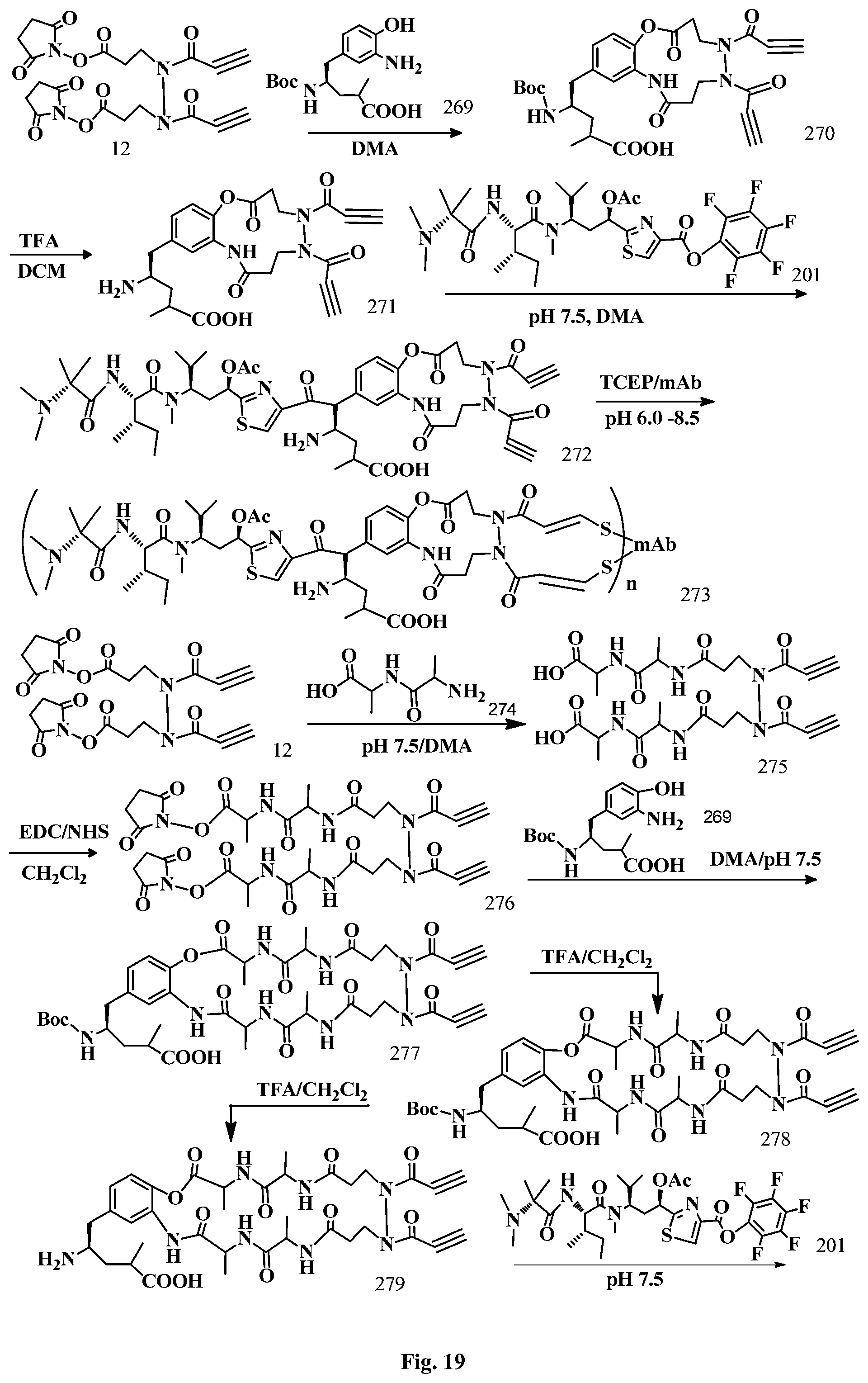 Patent US12472265 Figure 19 – Conjugation linkers, cell binding molecule-drug conjugates containing the linkers, methods of making and uses such conjugates with the linkers