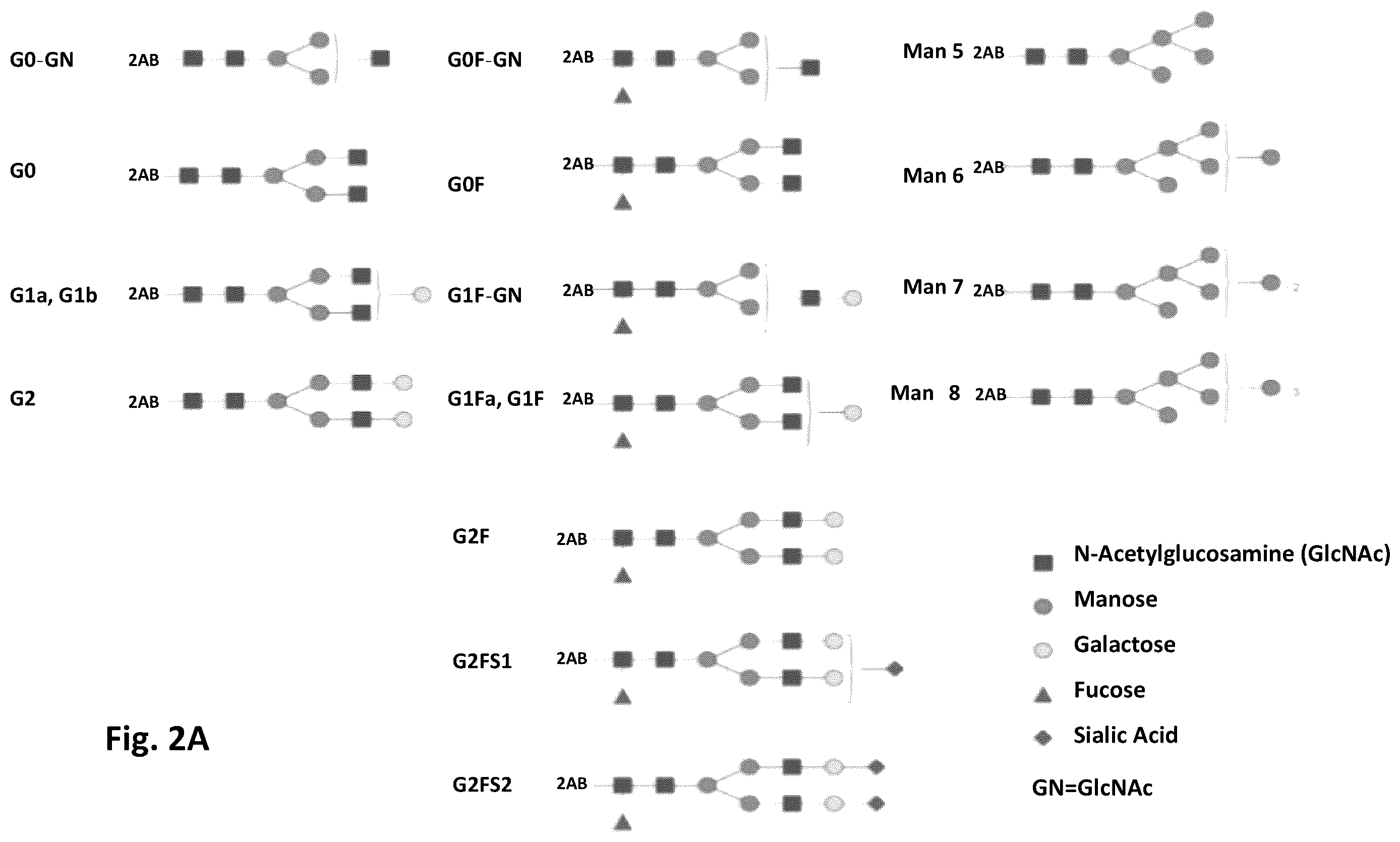 Patent US12472266 Figure 6 – Antibodies and enonomers
