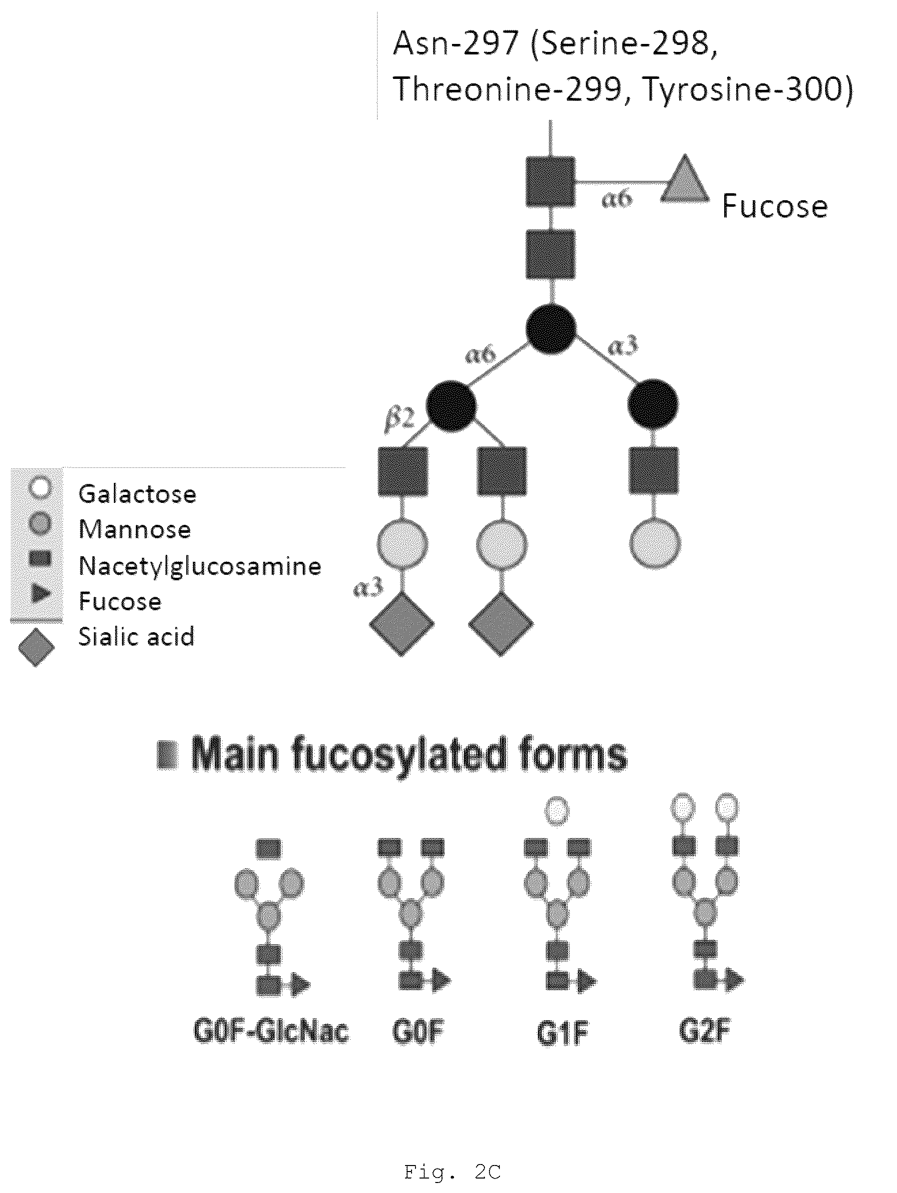 Patent US12472266 Figure 8 – Antibodies and enonomers