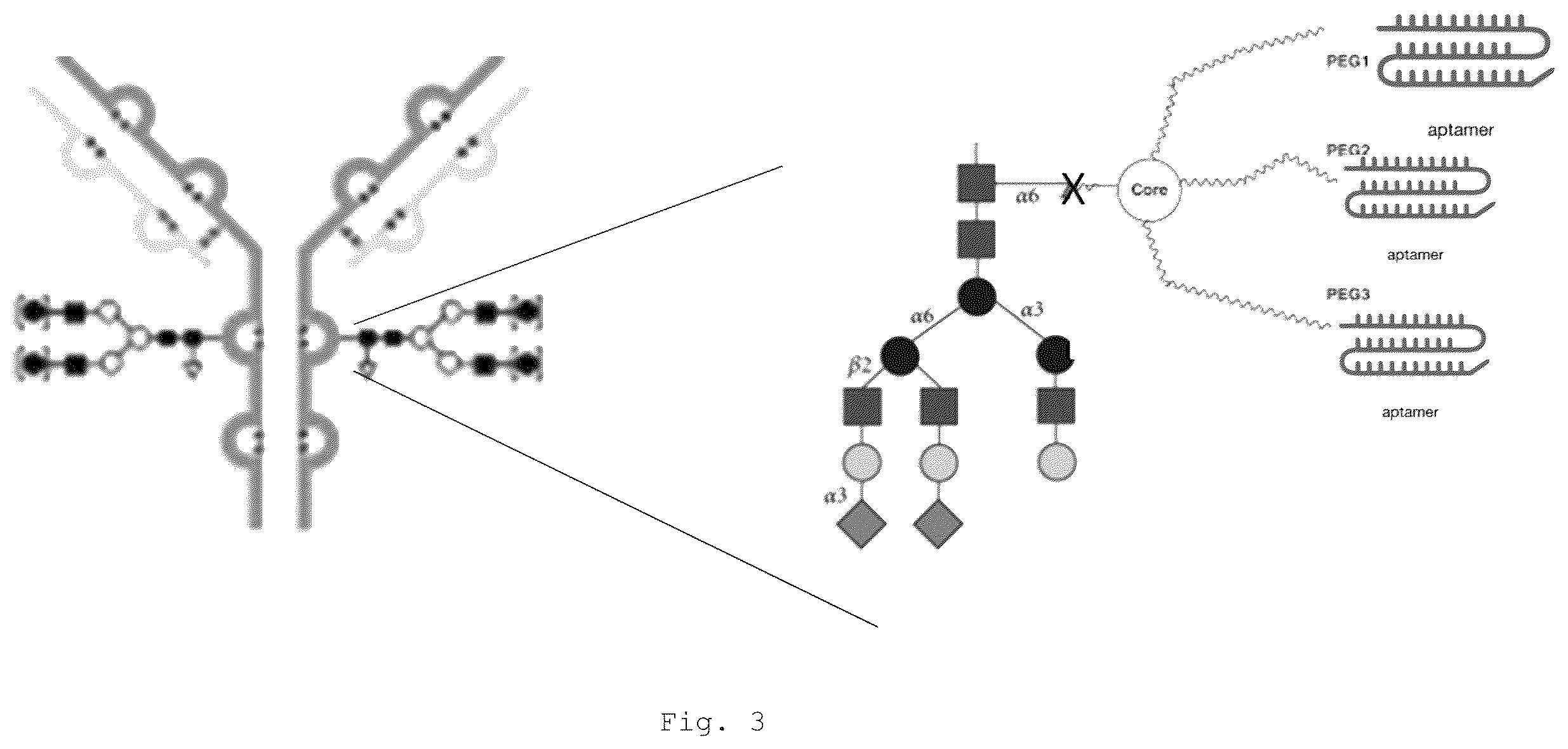 Patent US12472266 Figure 9 – Antibodies and enonomers