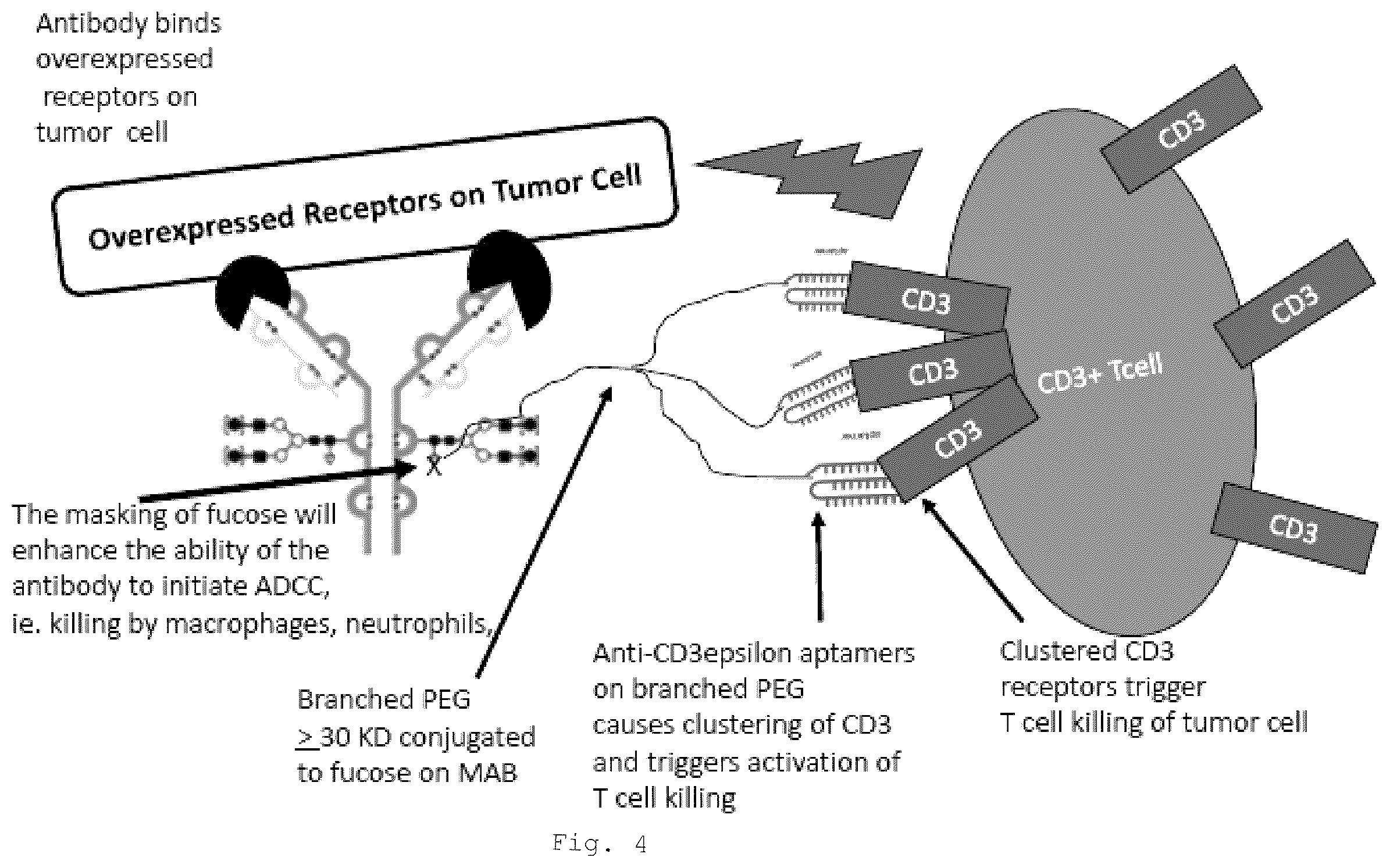 Patent US12472266 Figure 10 – Antibodies and enonomers