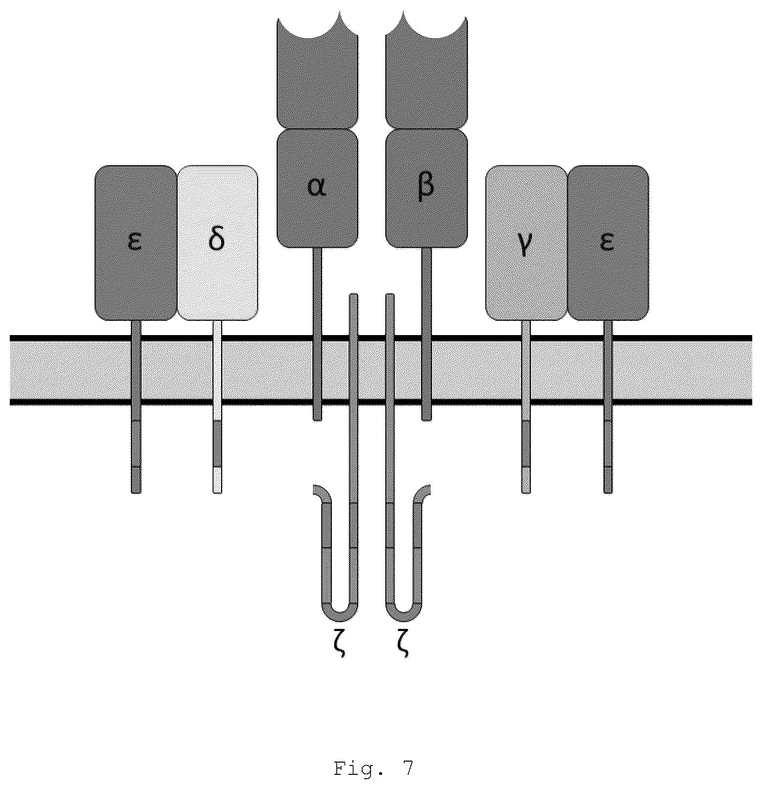 Patent US12472266 Figure 15 – Antibodies and enonomers