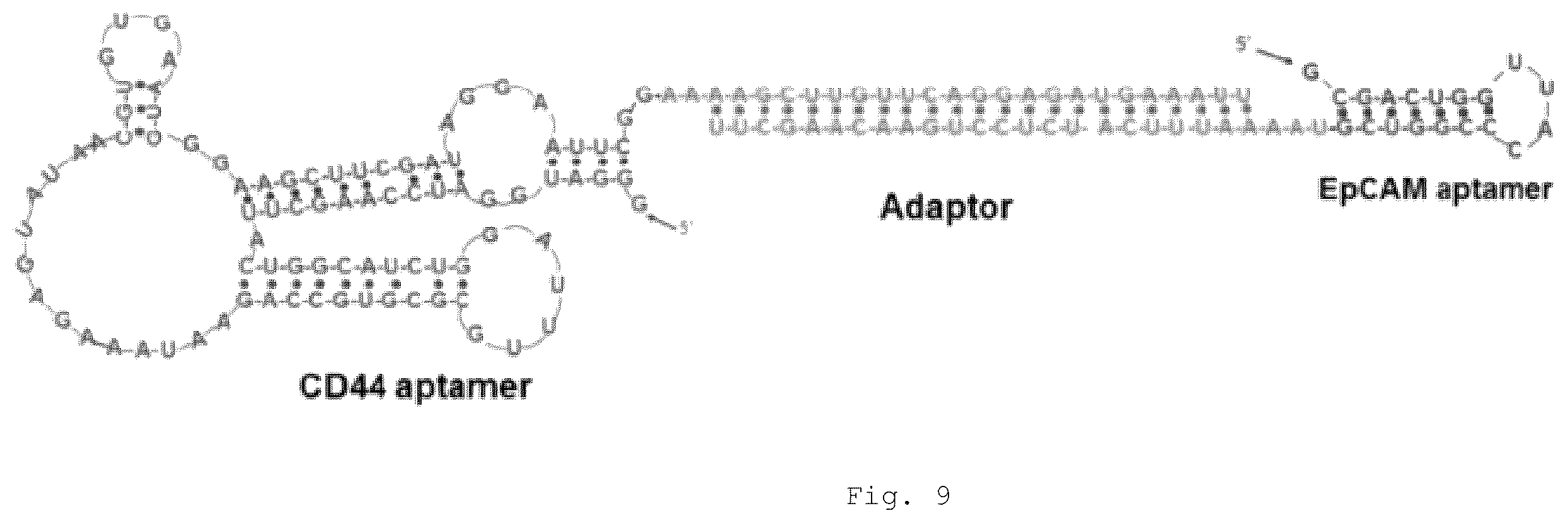 Patent US12472266 Figure 17 – Antibodies and enonomers