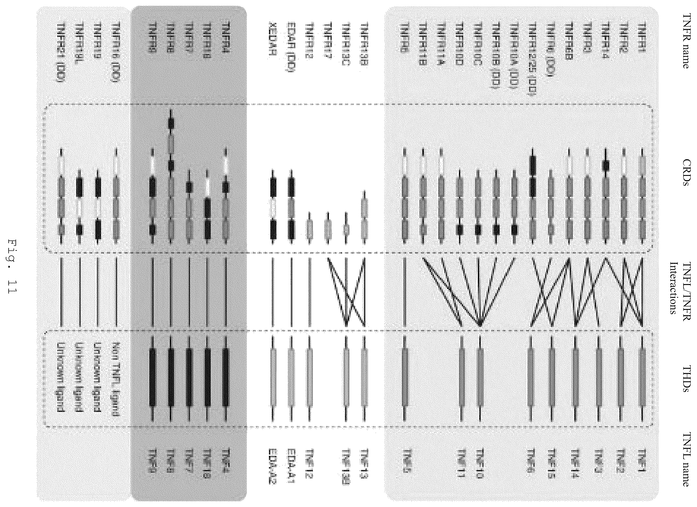 Patent US12472266 Figure 19 – Antibodies and enonomers