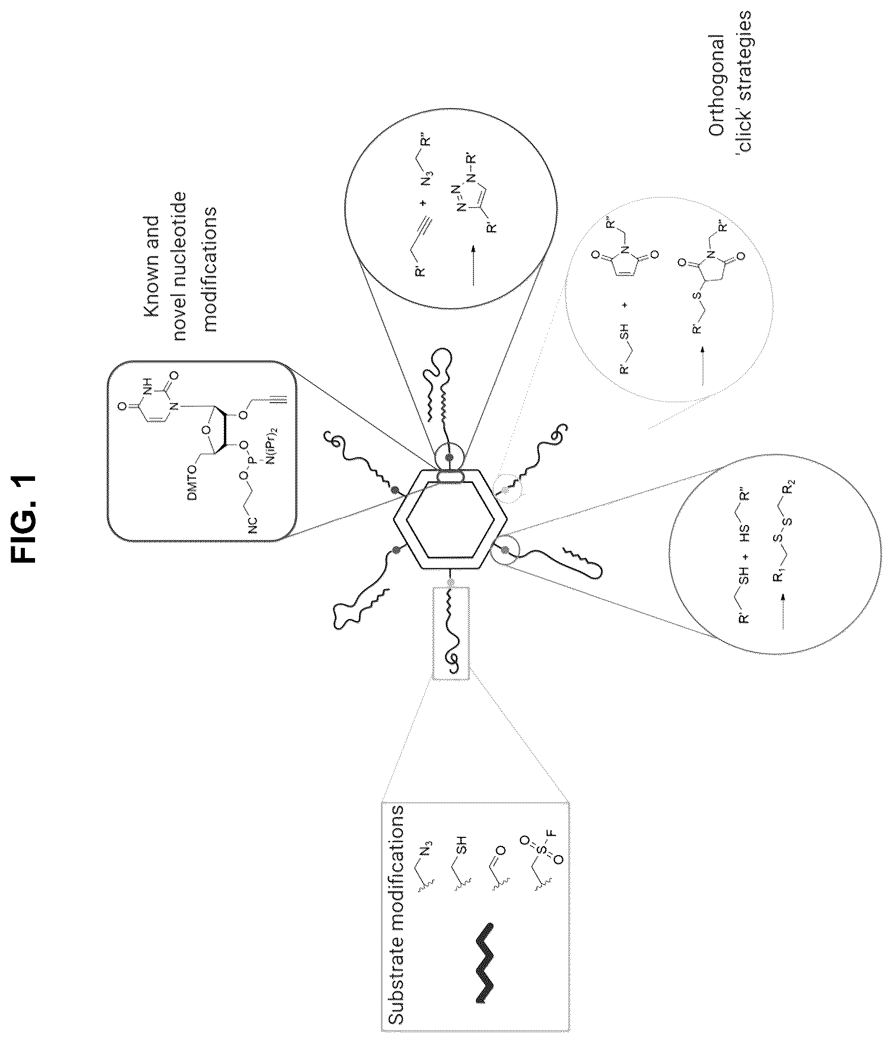 Patent US12472267 Figure 1 – Compositions containing nucleic acid nanoparticles with modular functionality