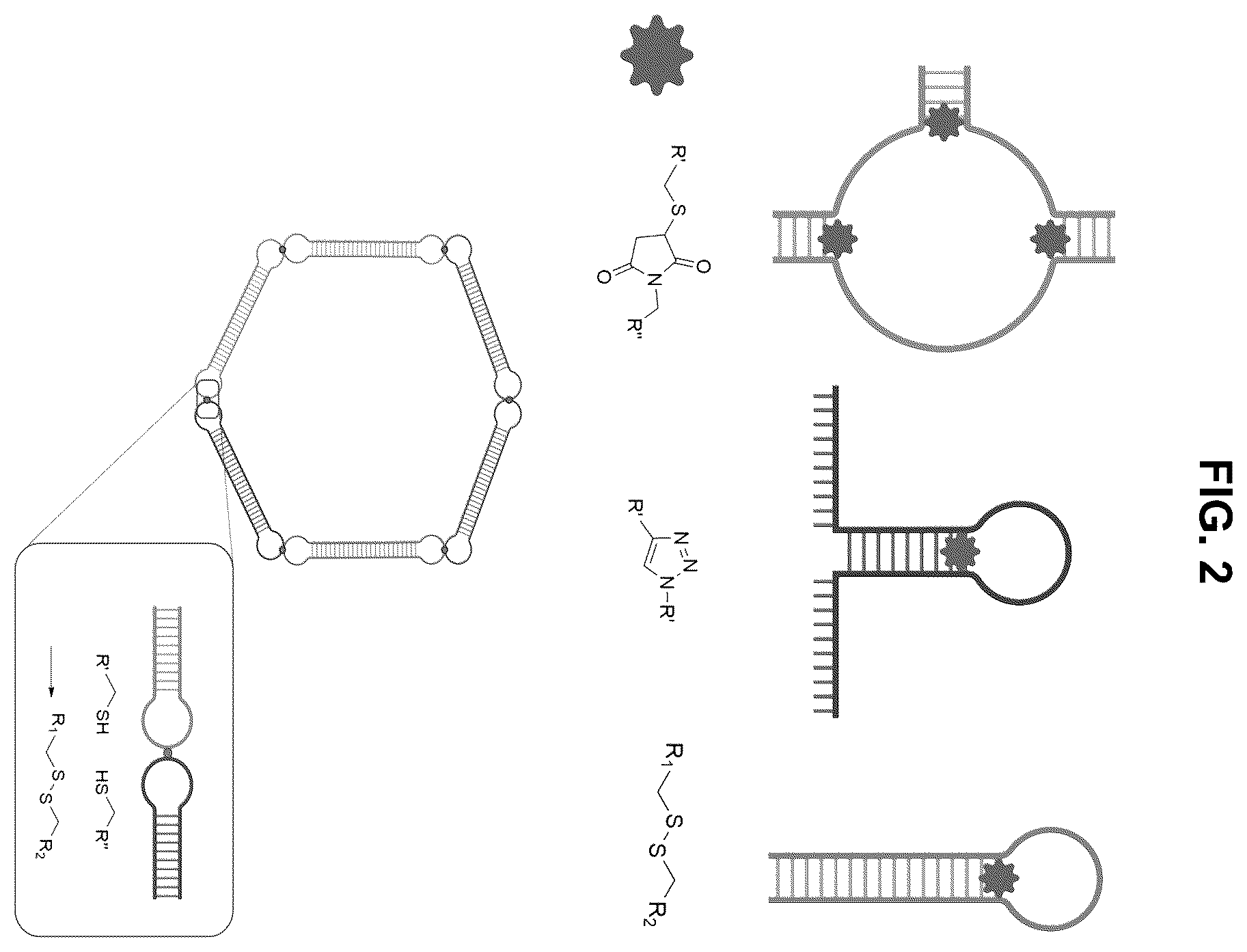 Patent US12472267 Figure 2 – Compositions containing nucleic acid nanoparticles with modular functionality