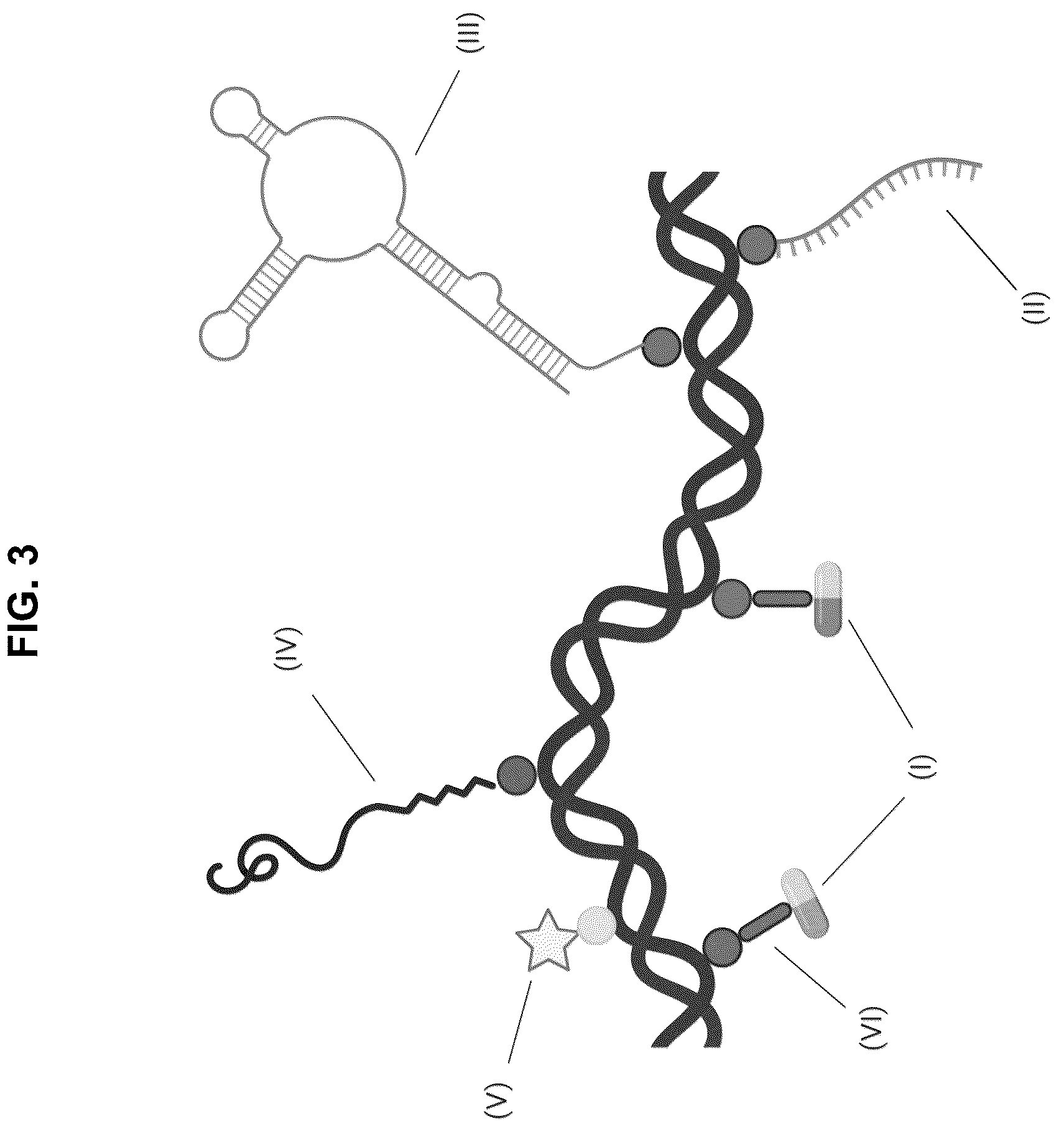 Patent US12472267 Figure 3 – Compositions containing nucleic acid nanoparticles with modular functionality