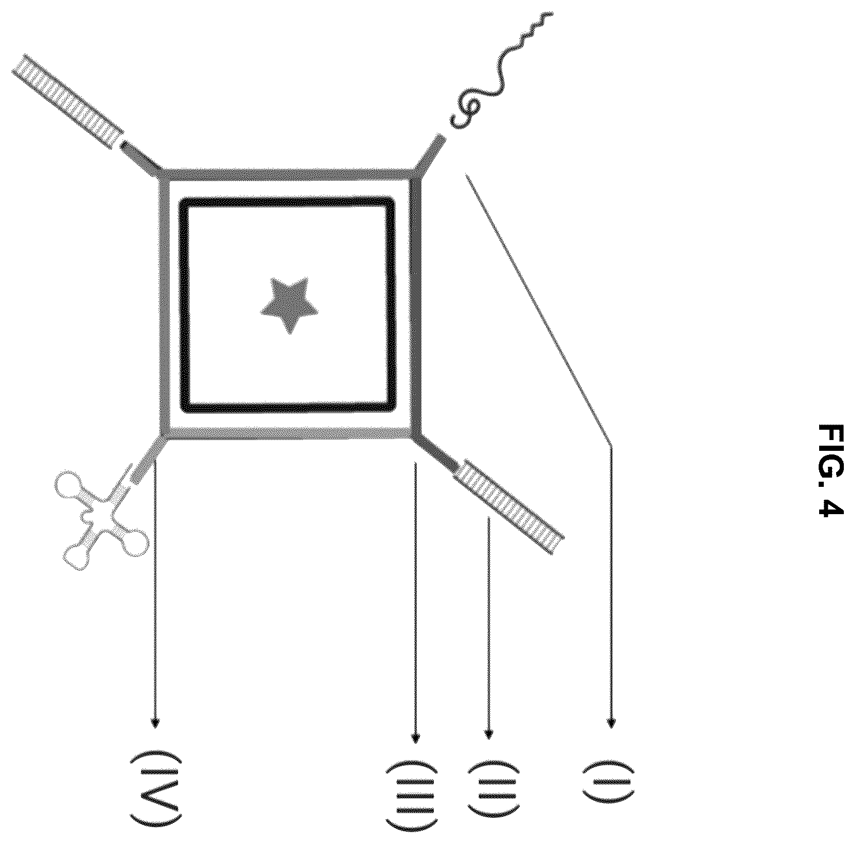 Patent US12472267 Figure 4 – Compositions containing nucleic acid nanoparticles with modular functionality