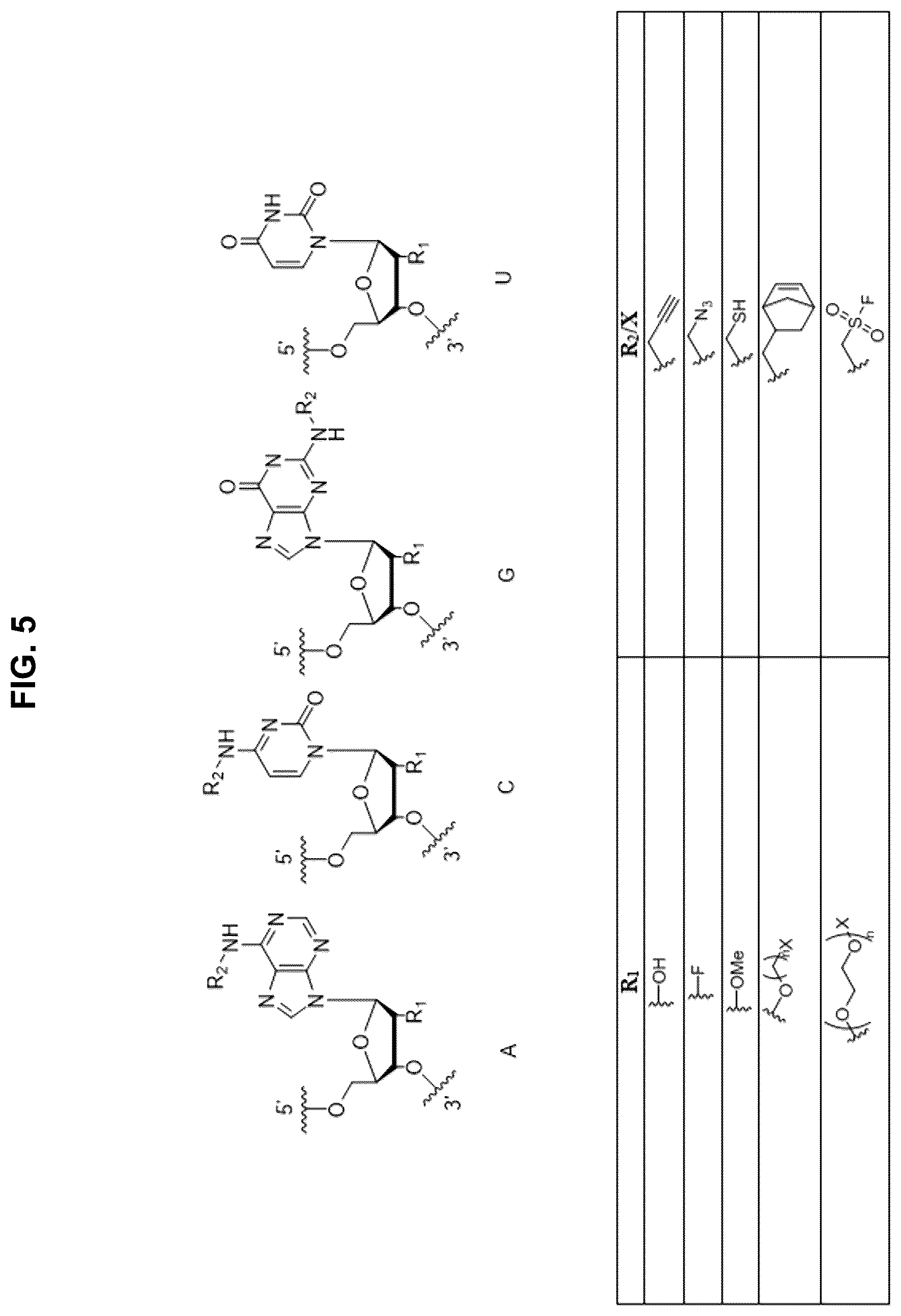 Patent US12472267 Figure 5 – Compositions containing nucleic acid nanoparticles with modular functionality