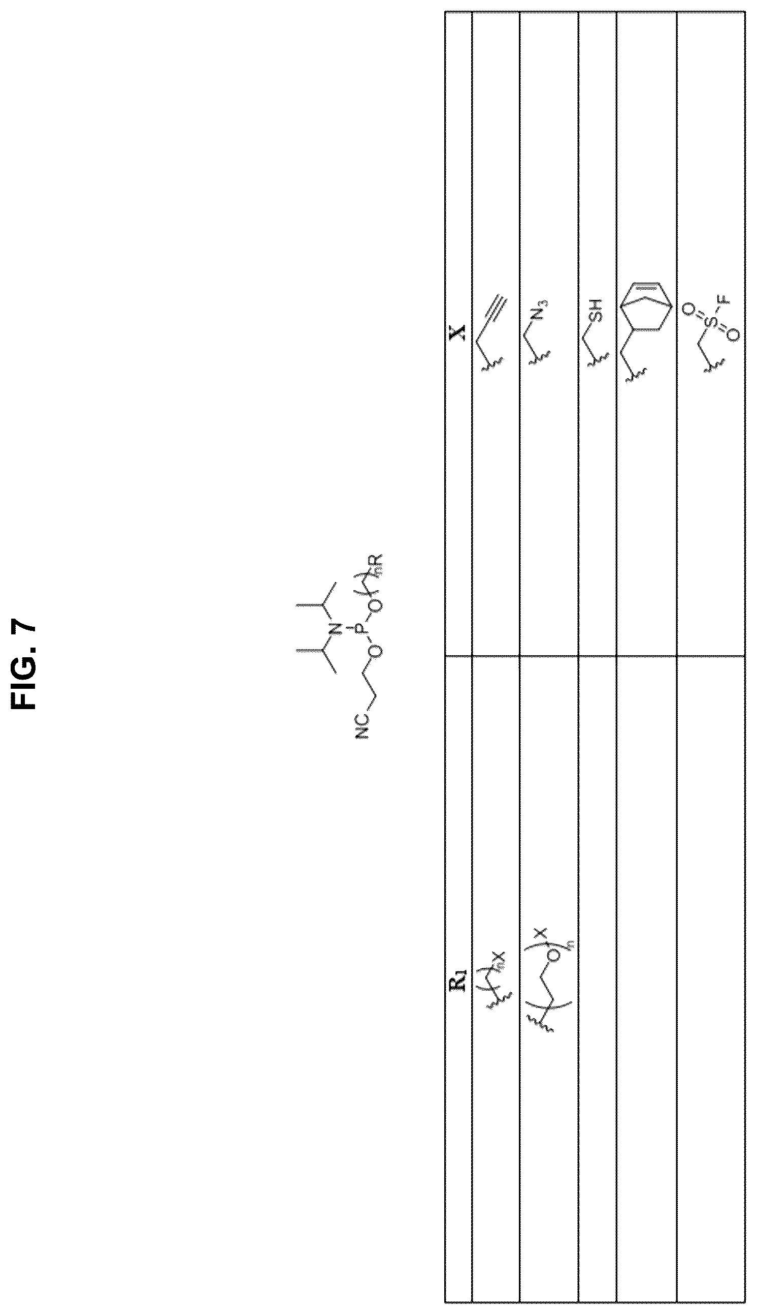Patent US12472267 Figure 7 – Compositions containing nucleic acid nanoparticles with modular functionality