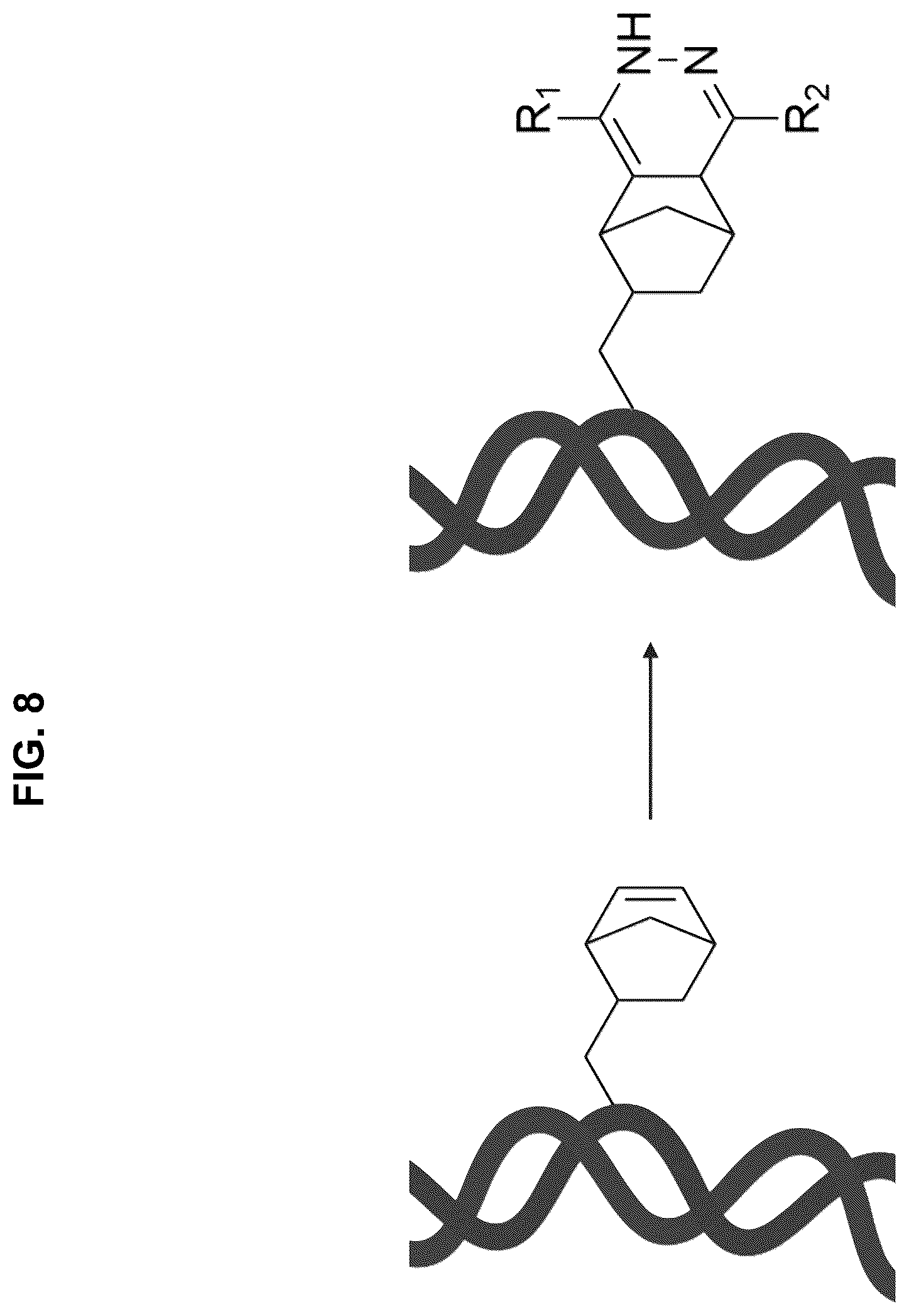 Patent US12472267 Figure 8 – Compositions containing nucleic acid nanoparticles with modular functionality