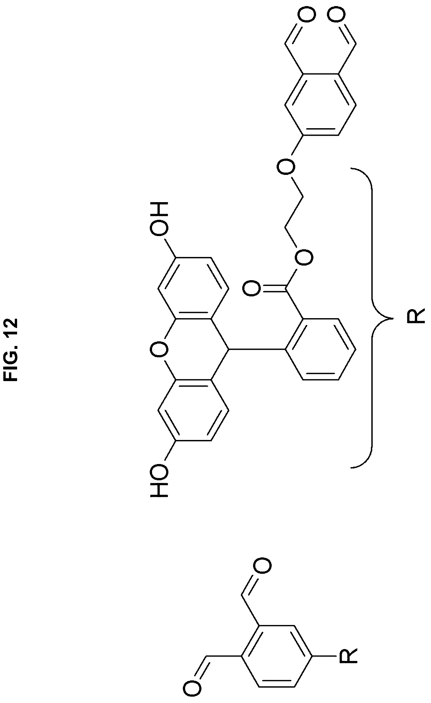 Patent US12472267 Figure 12 – Compositions containing nucleic acid nanoparticles with modular functionality