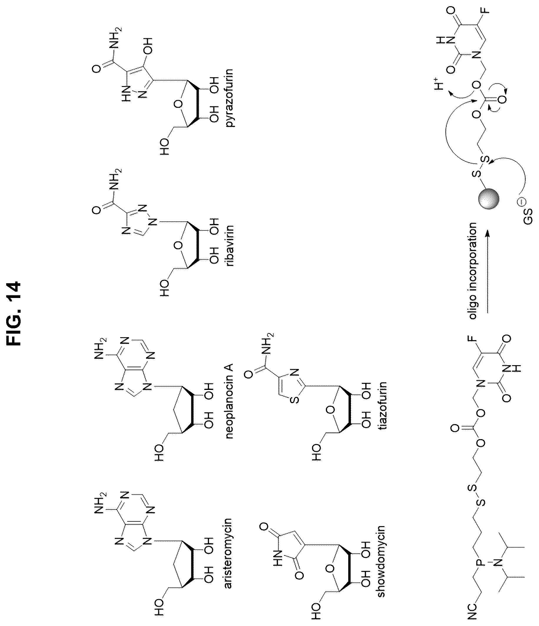 Patent US12472267 Figure 14 – Compositions containing nucleic acid nanoparticles with modular functionality