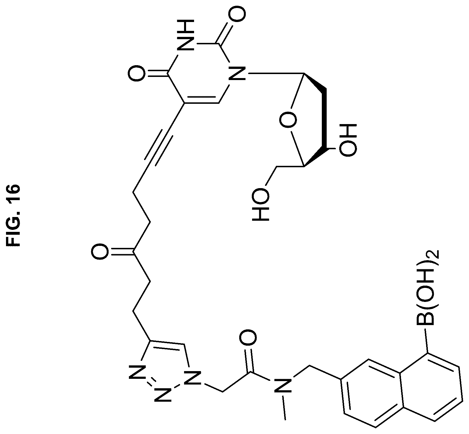 Patent US12472267 Figure 16 – Compositions containing nucleic acid nanoparticles with modular functionality