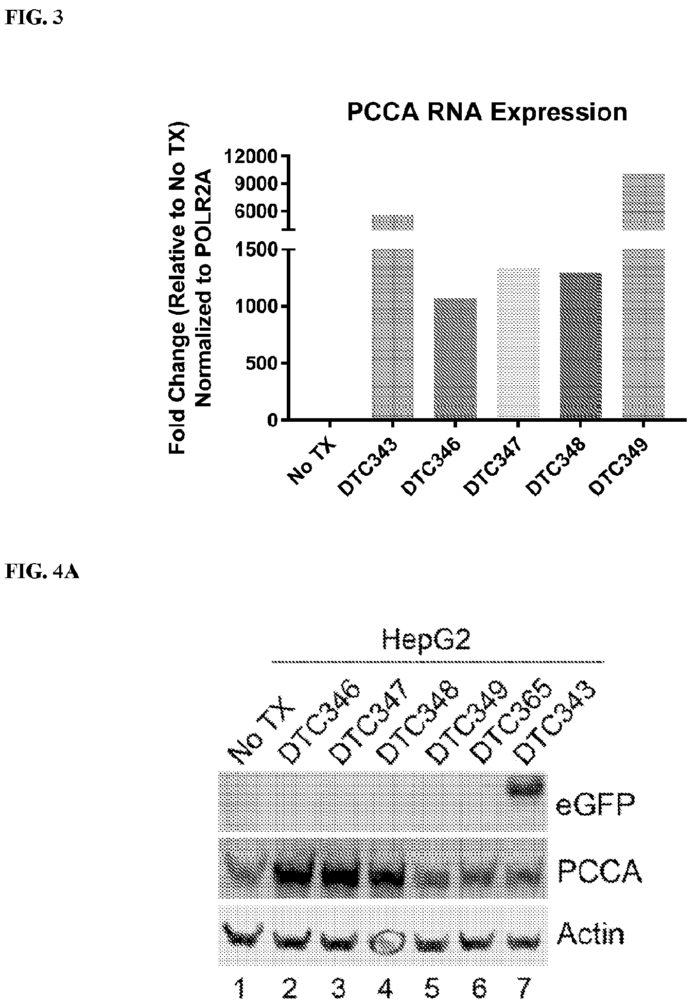 Patent US12472268 Figure 3 – Gene therapy for treating propionic acidemia