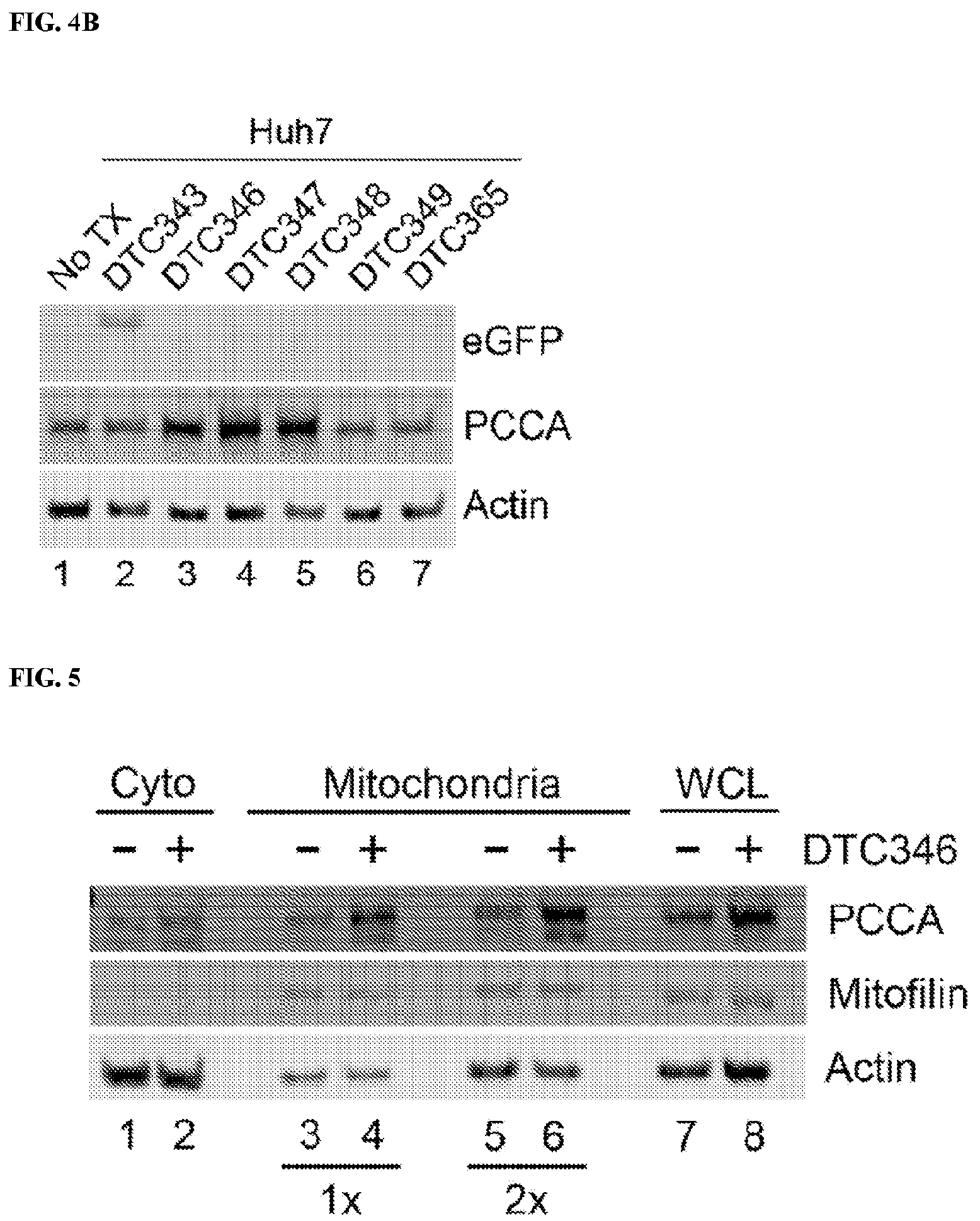 Patent US12472268 Figure 4 – Gene therapy for treating propionic acidemia