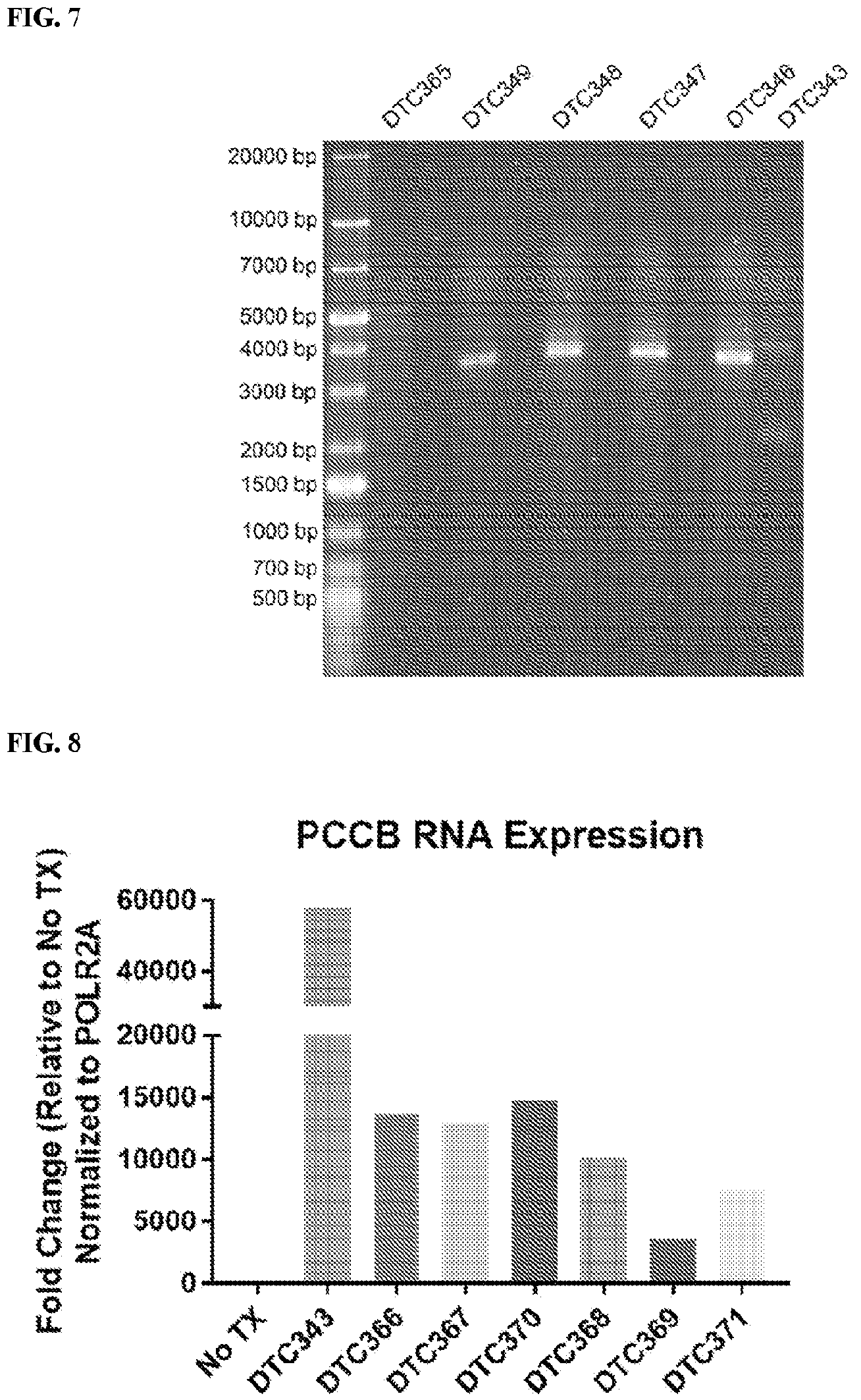 Patent US12472268 Figure 6 – Gene therapy for treating propionic acidemia