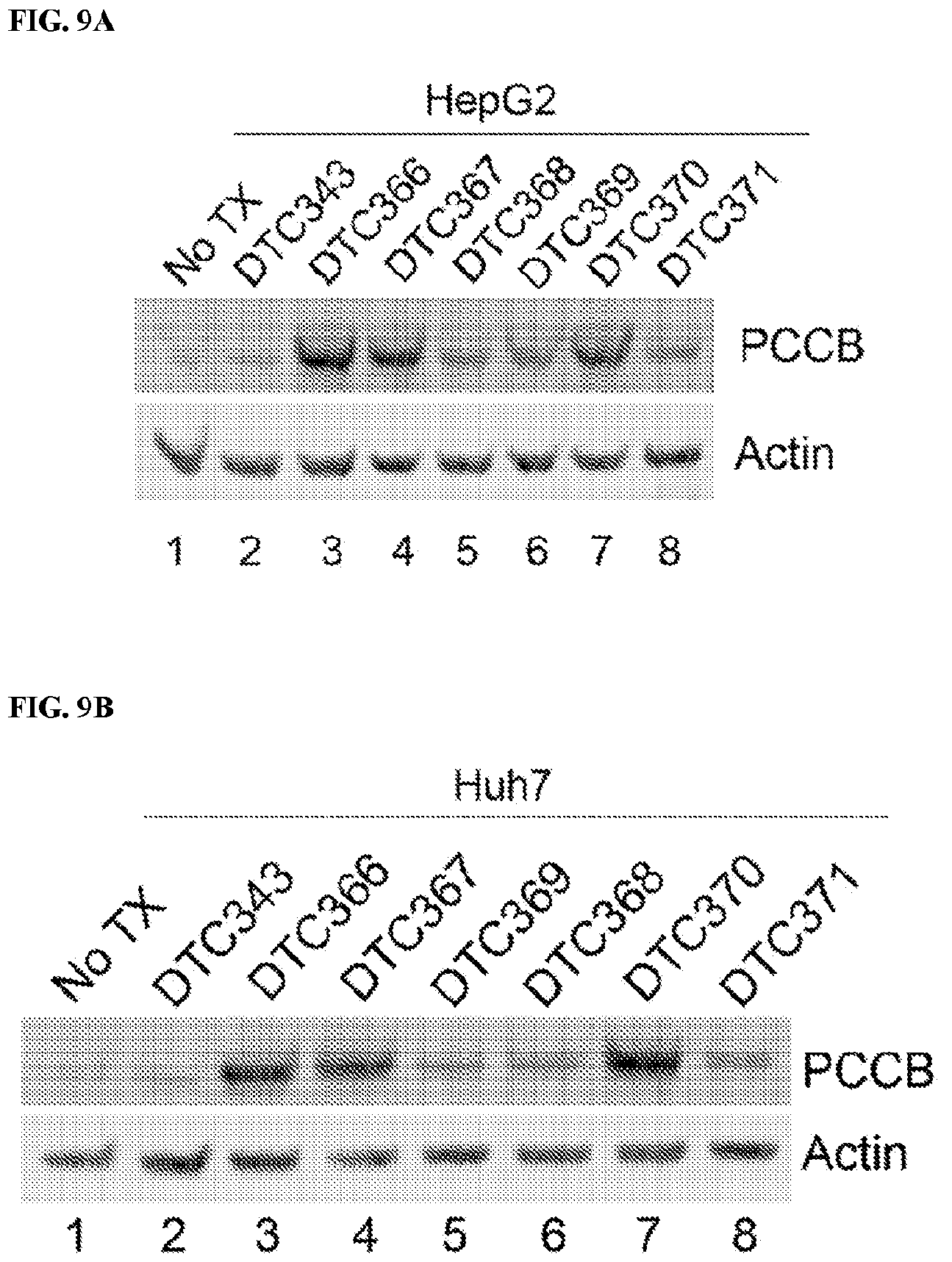 Patent US12472268 Figure 7 – Gene therapy for treating propionic acidemia