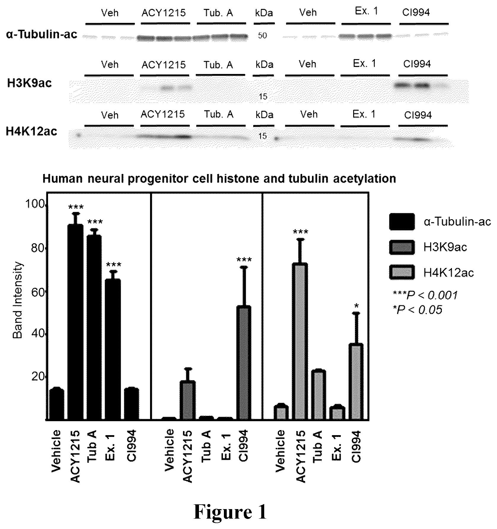 Patent US12472271 Figure 1 – HDAC6 inhibitors and imaging agents
