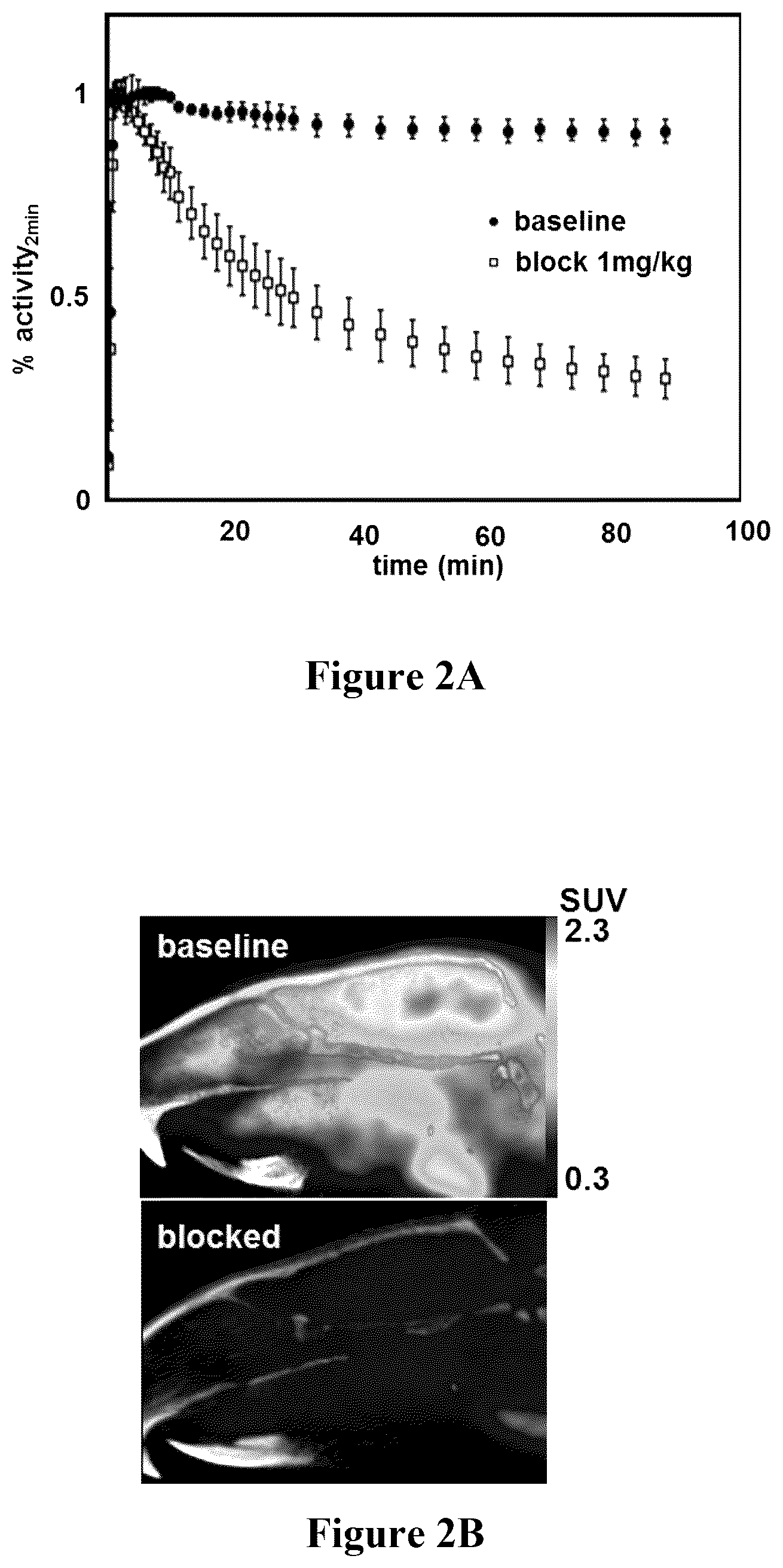Patent US12472271 Figure 2 – HDAC6 inhibitors and imaging agents