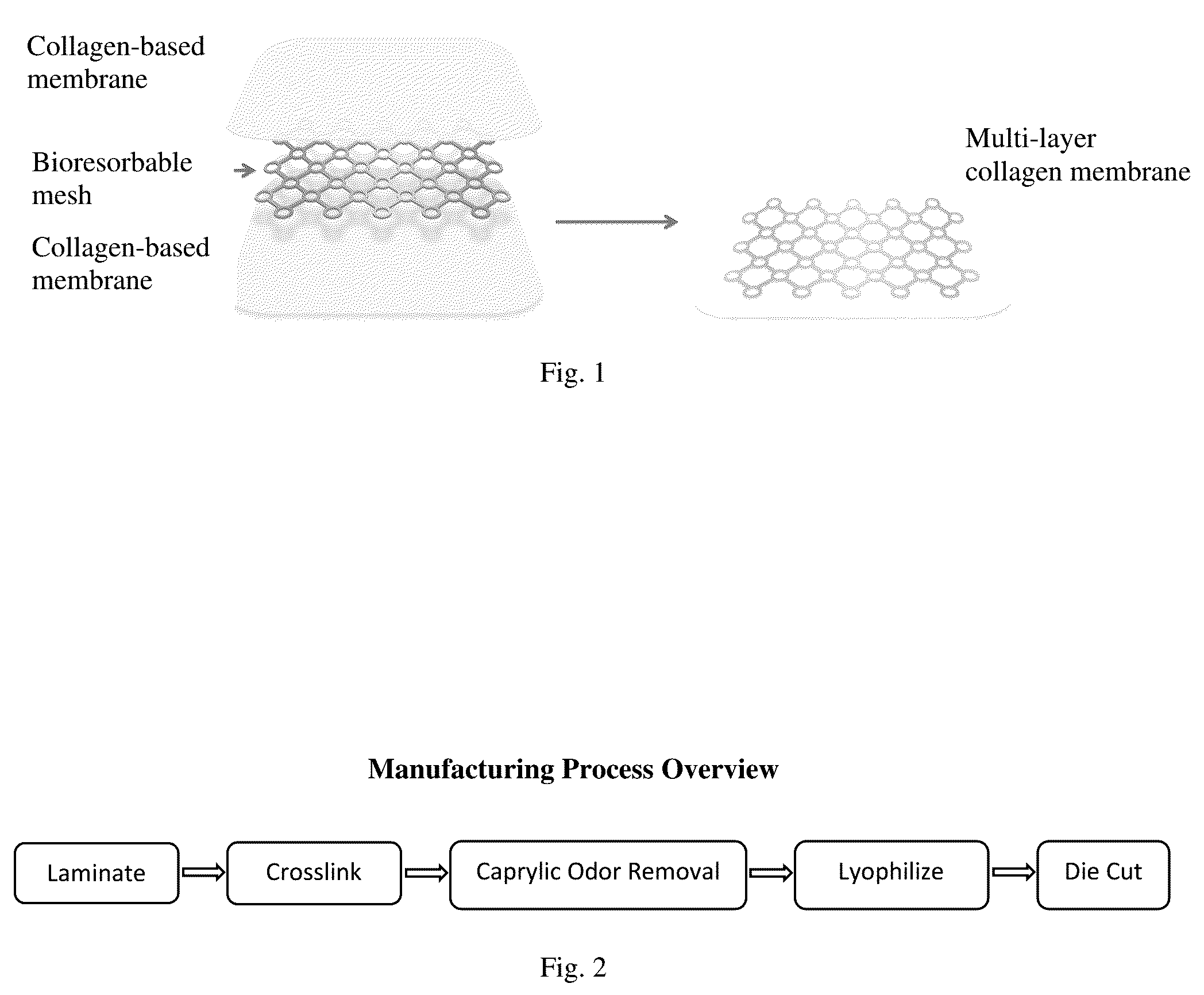 Patent US12472281 Figure 1 – Multi-layer collagen-based membrane