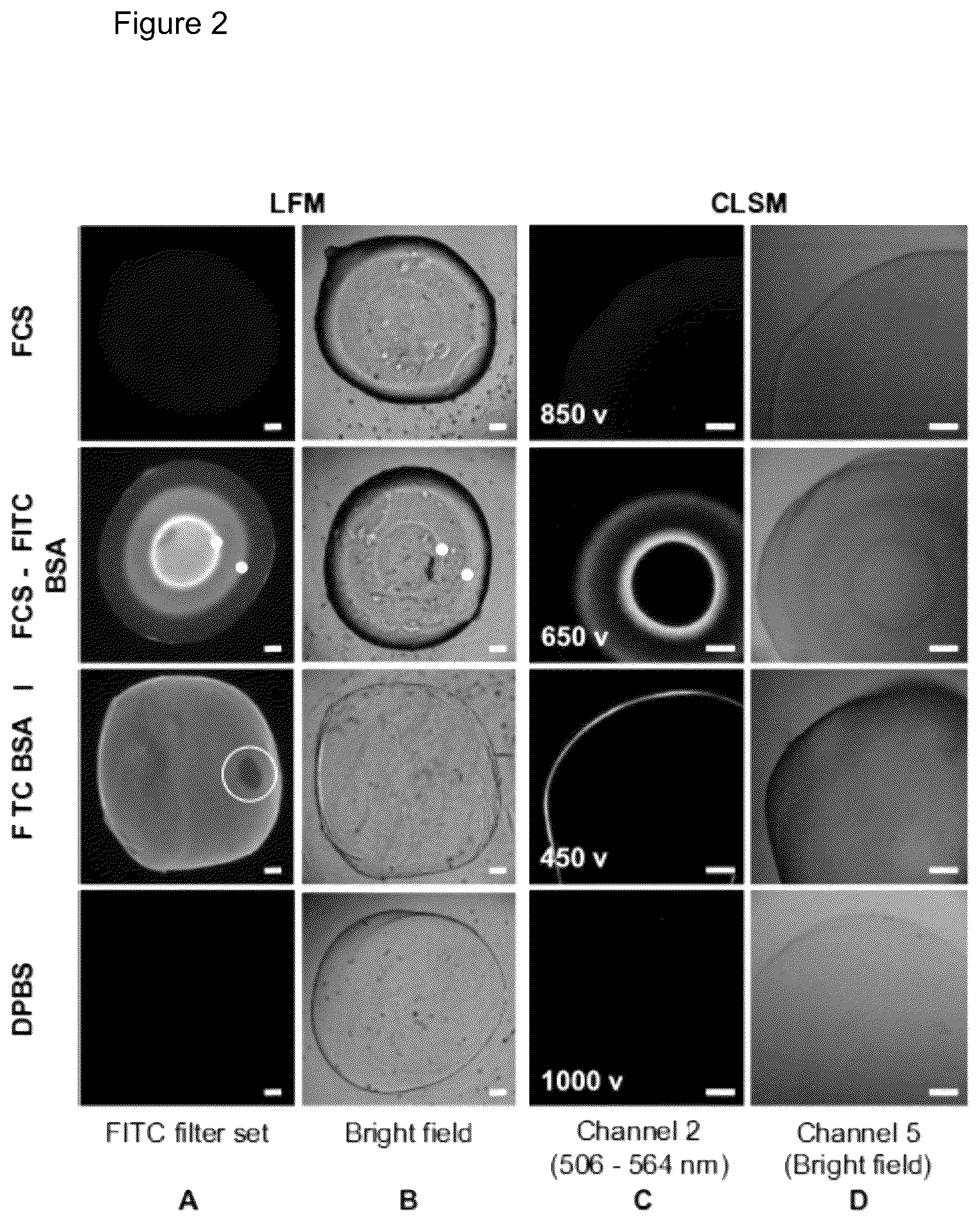 Patent US12472284 Figure 2 – Structured gels