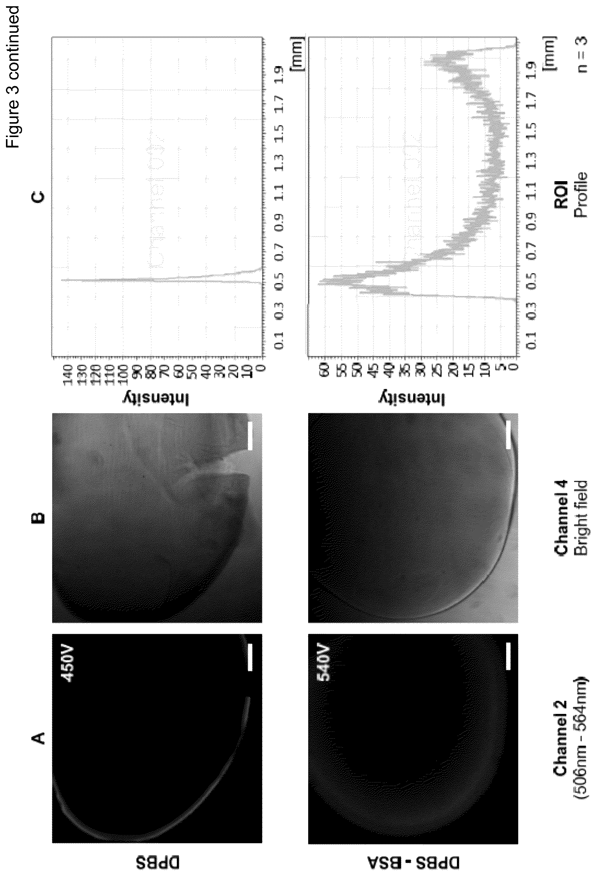 Patent US12472284 Figure 6 – Structured gels