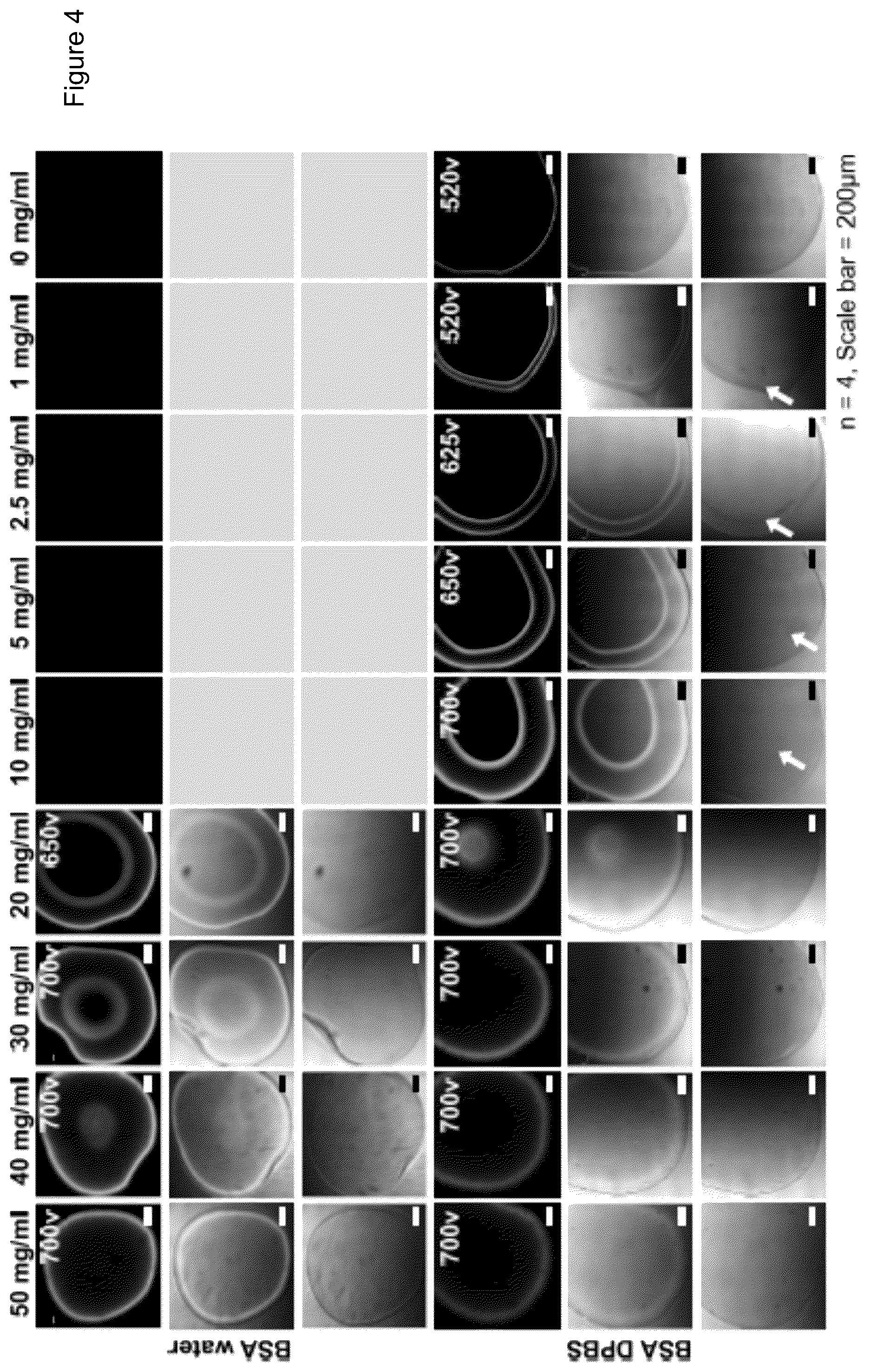 Patent US12472284 Figure 8 – Structured gels