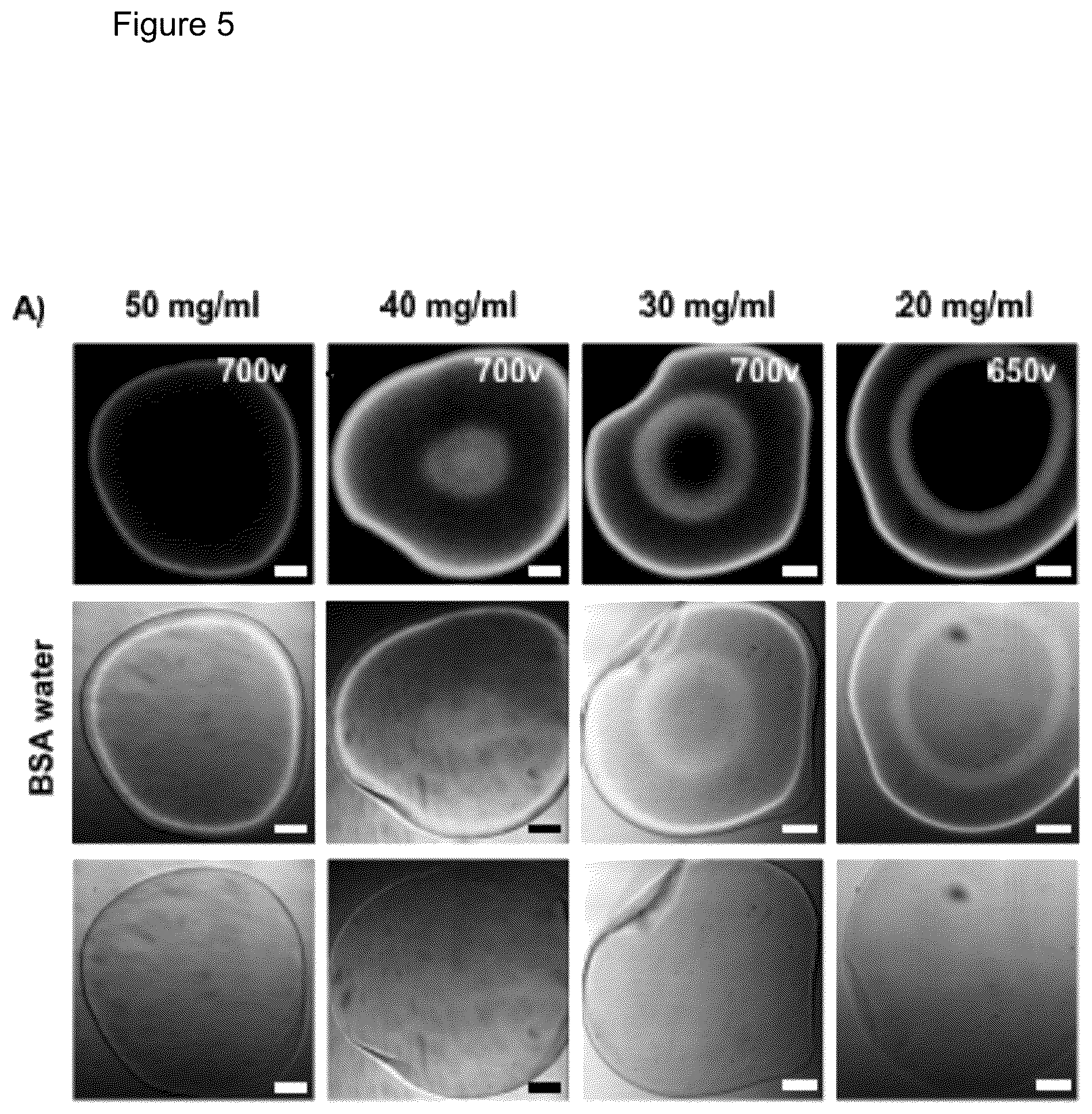 Patent US12472284 Figure 9 – Structured gels