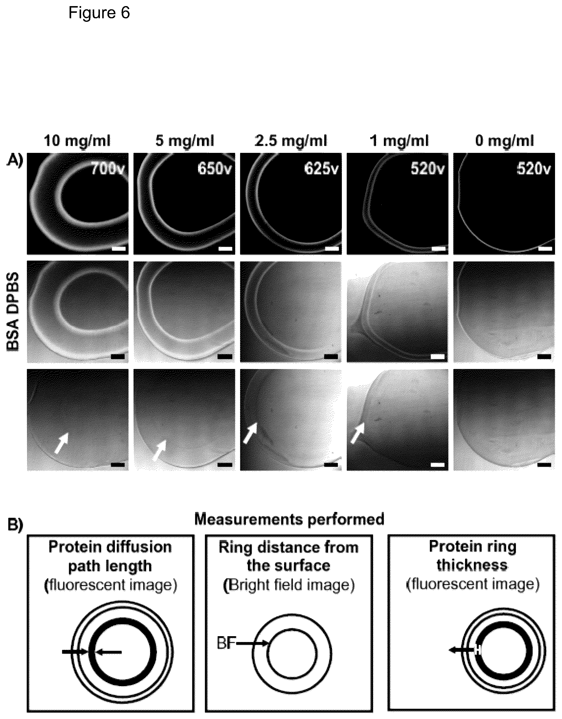 Patent US12472284 Figure 11 – Structured gels