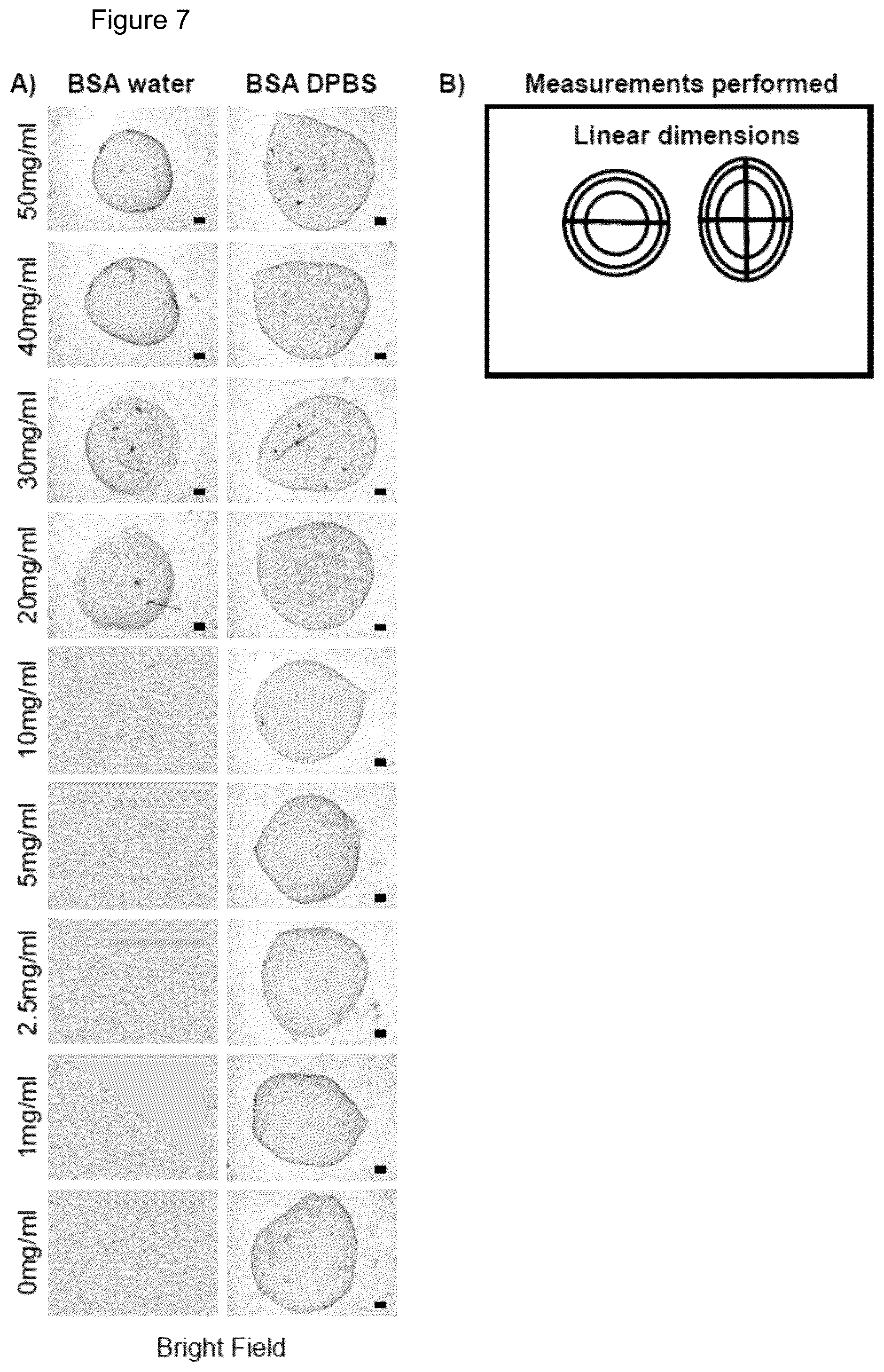 Patent US12472284 Figure 13 – Structured gels