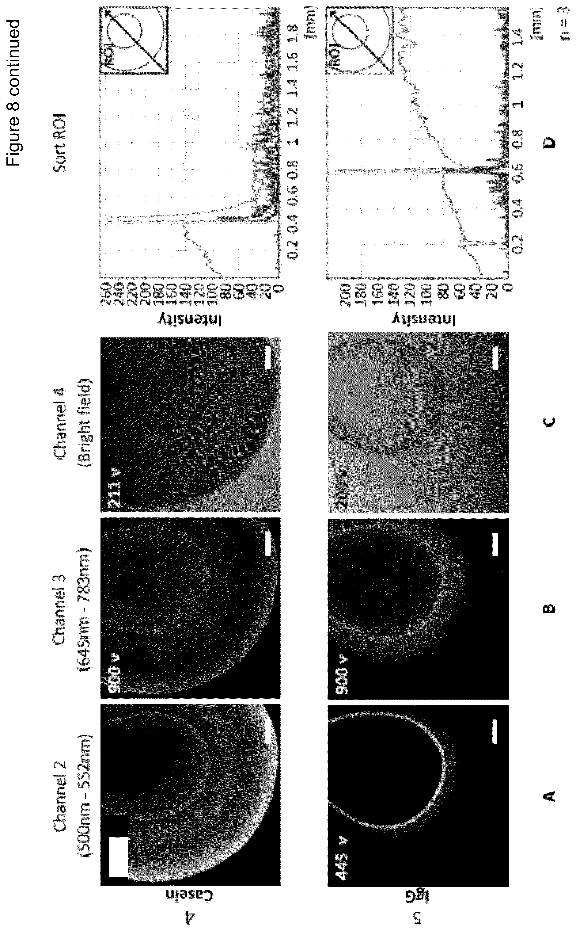 Patent US12472284 Figure 16 – Structured gels