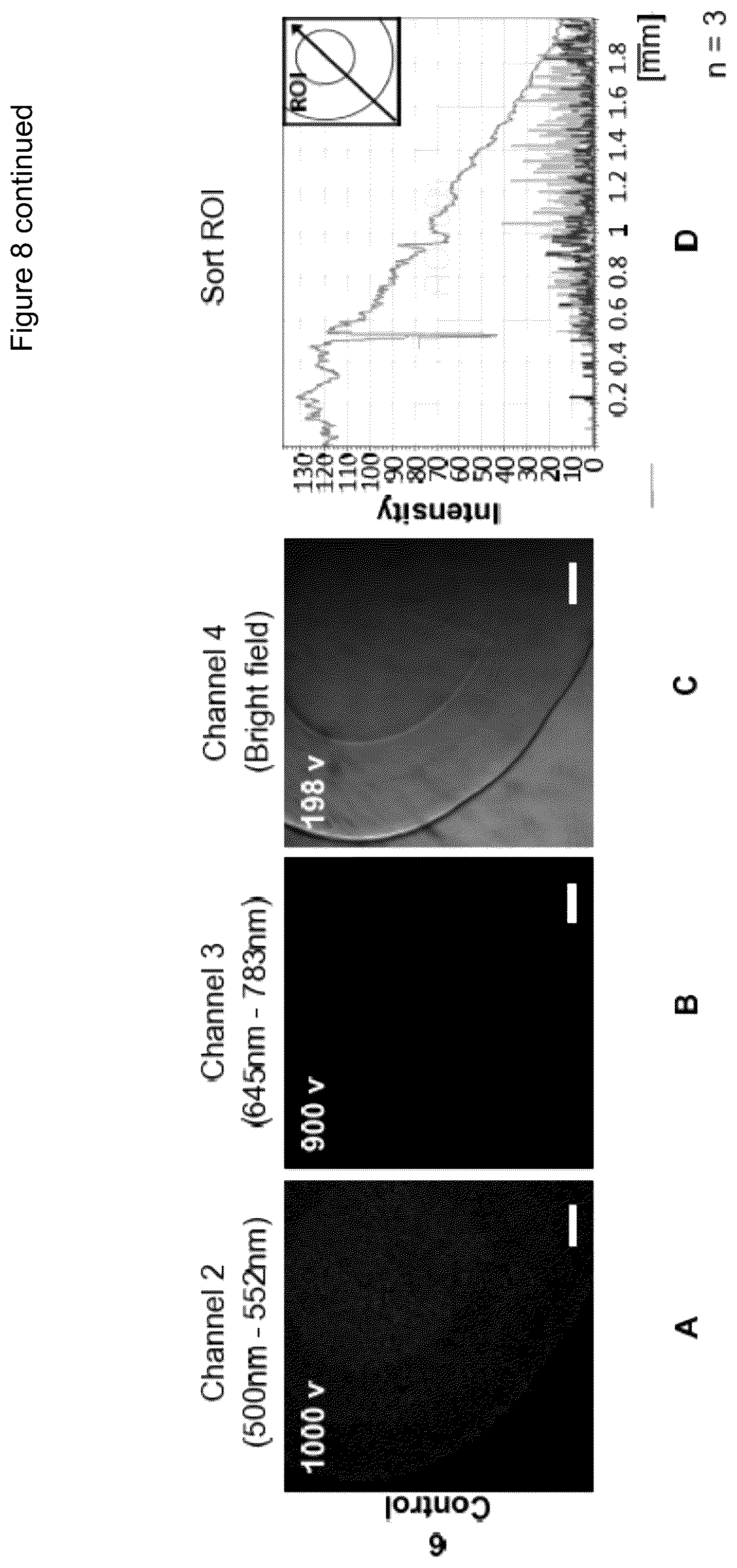 Patent US12472284 Figure 17 – Structured gels