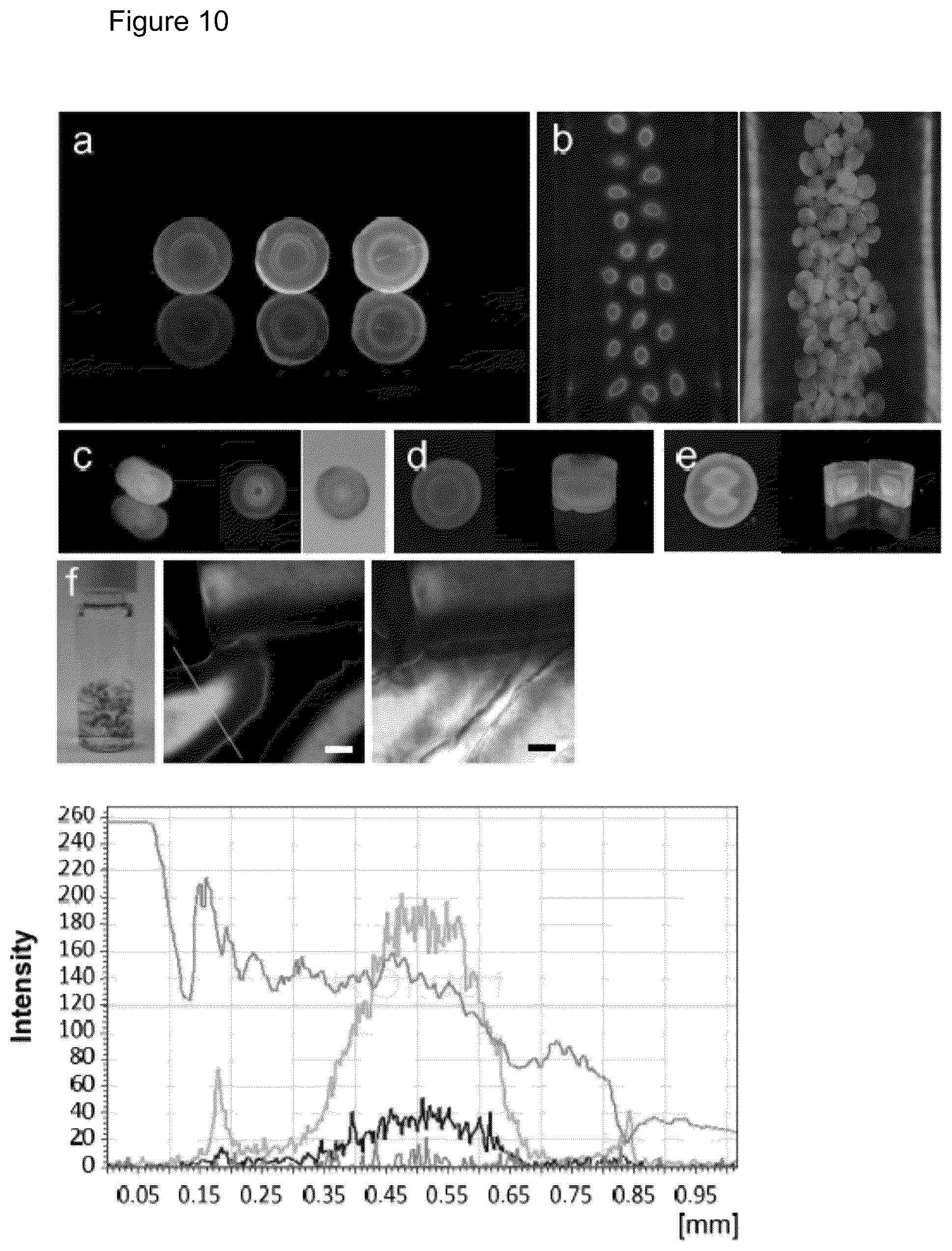 Patent US12472284 Figure 19 – Structured gels