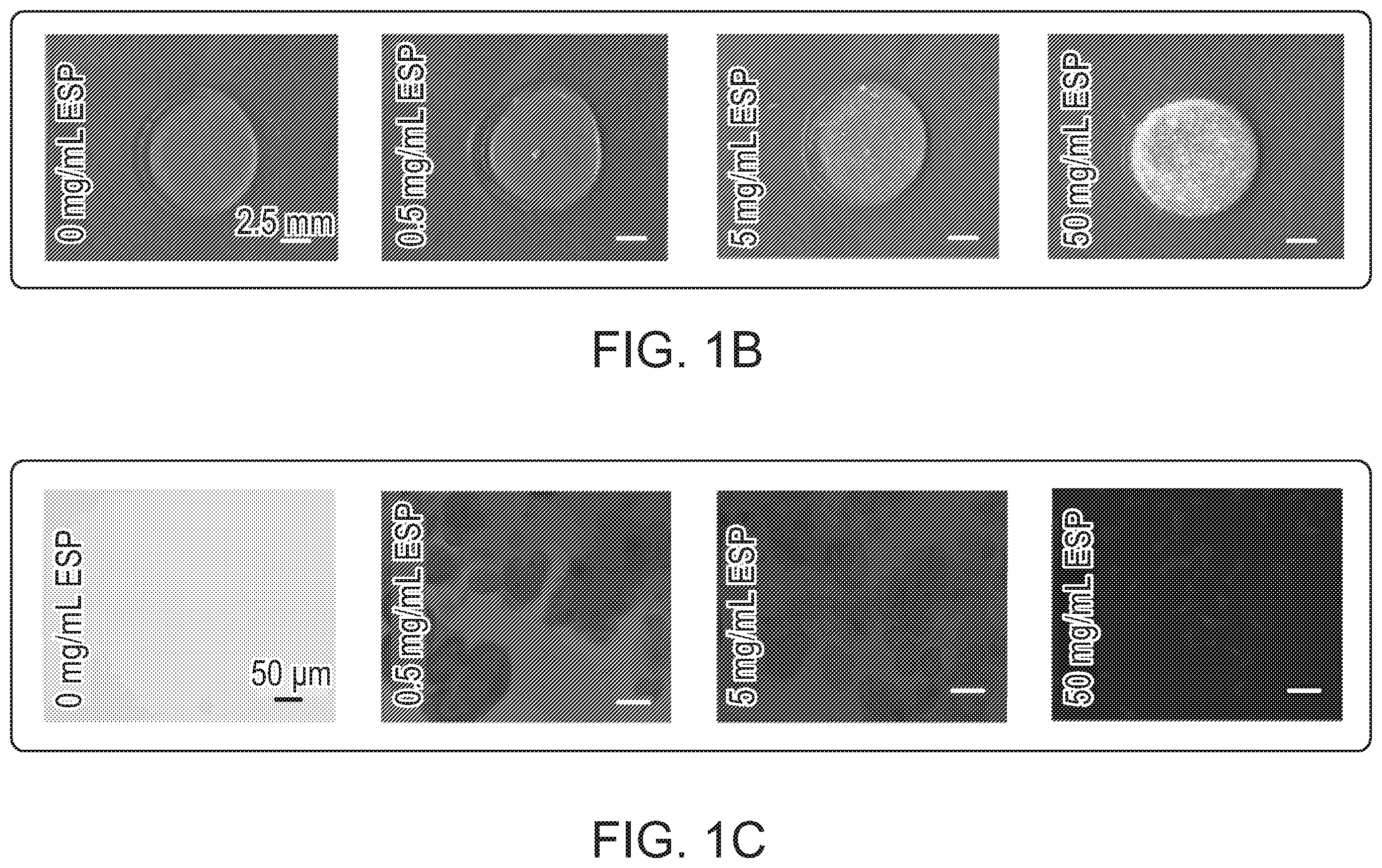 Patent US12472285 Figure 2 – Eggshell particle containing hydrogels and prepolymer compositions for biomedical applications