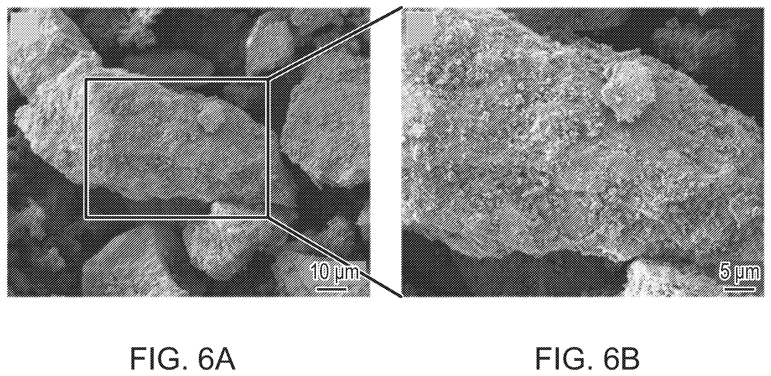 Patent US12472285 Figure 8 – Eggshell particle containing hydrogels and prepolymer compositions for biomedical applications