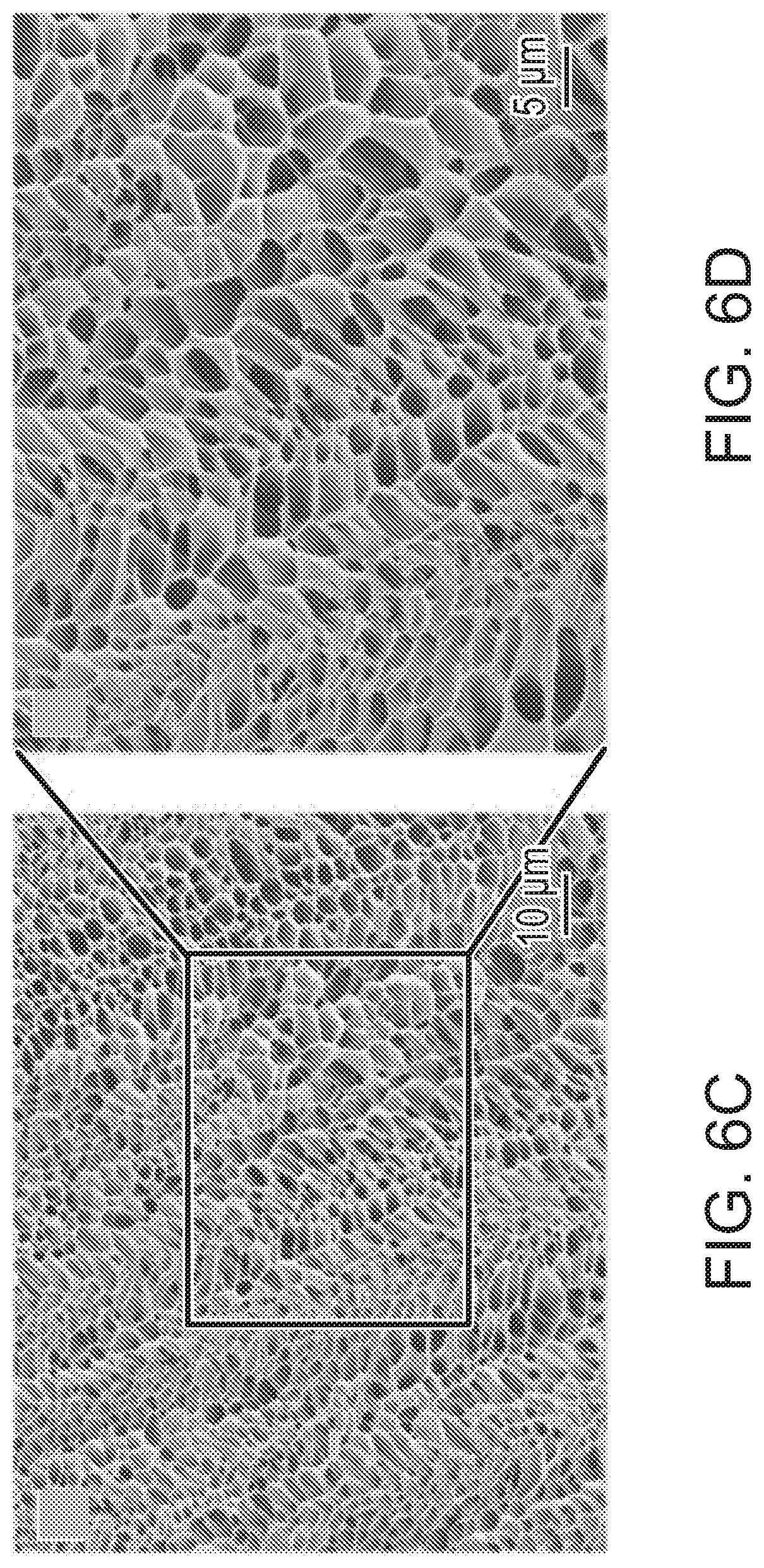 Patent US12472285 Figure 9 – Eggshell particle containing hydrogels and prepolymer compositions for biomedical applications
